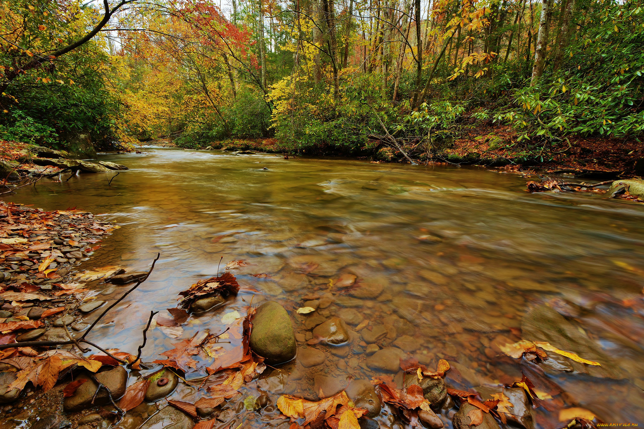 природа, радуга, autumn, leaves, water, stream, waterfall, осень, листья, вода, поток