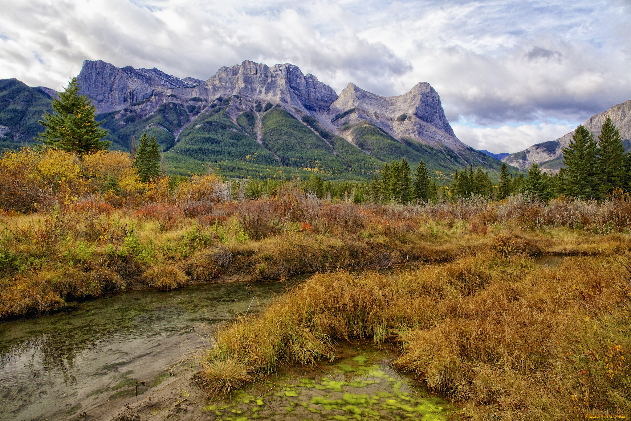 природа, реки, озера, горы, трава, ручей
