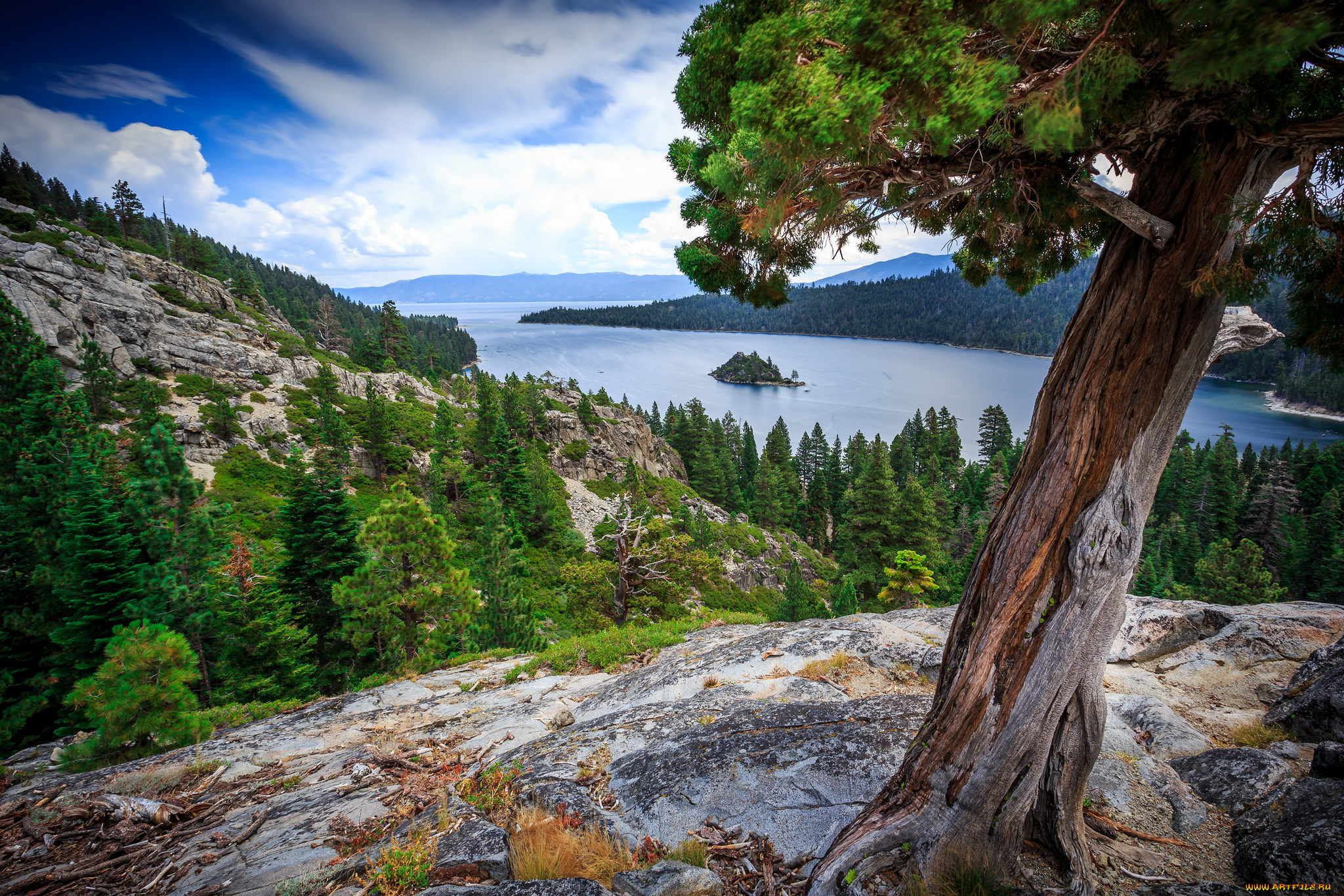 природа, реки, озера, река, горы, лес