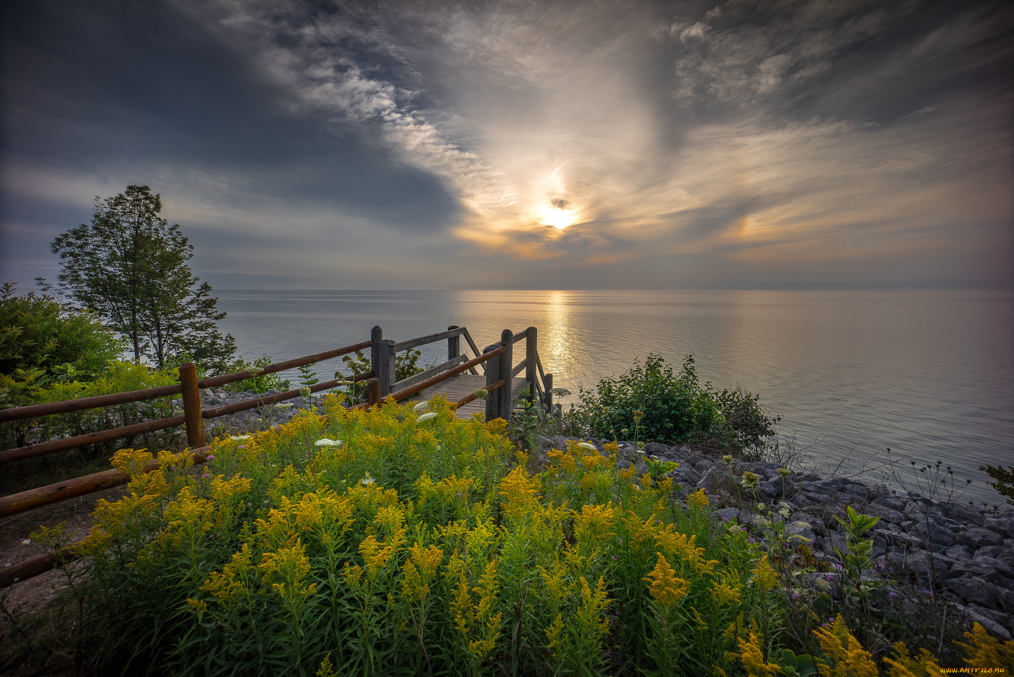 природа, побережье, горизонт, цветы, трава, мостик, океан