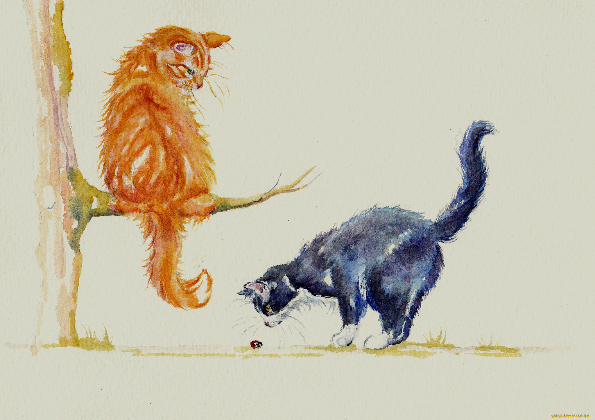 рисованное, животные, , коты, акварель, божья, коровка, коты, кошки