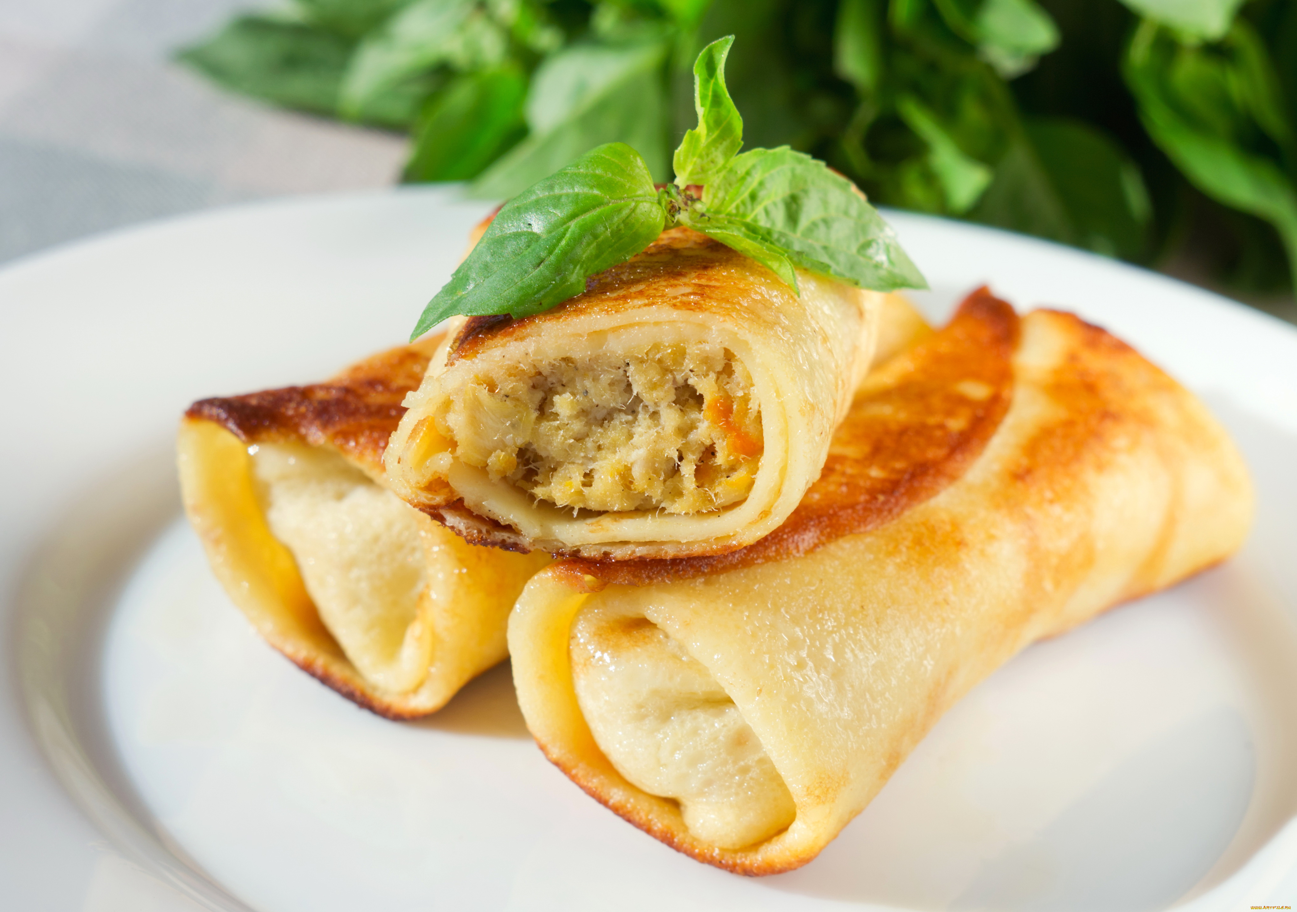 еда, блины, , оладьи, мясо, выпечка