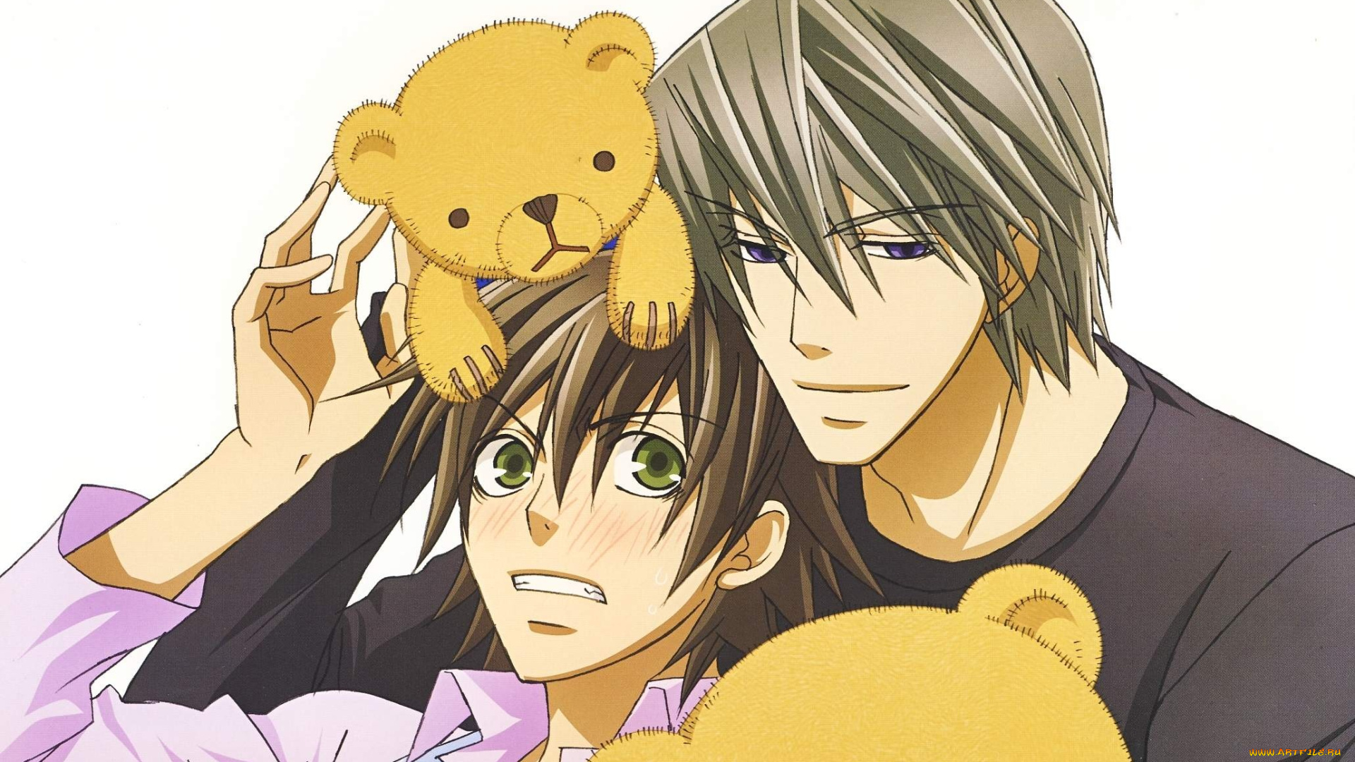 аниме, junjou, romantica, акихико, мисаки