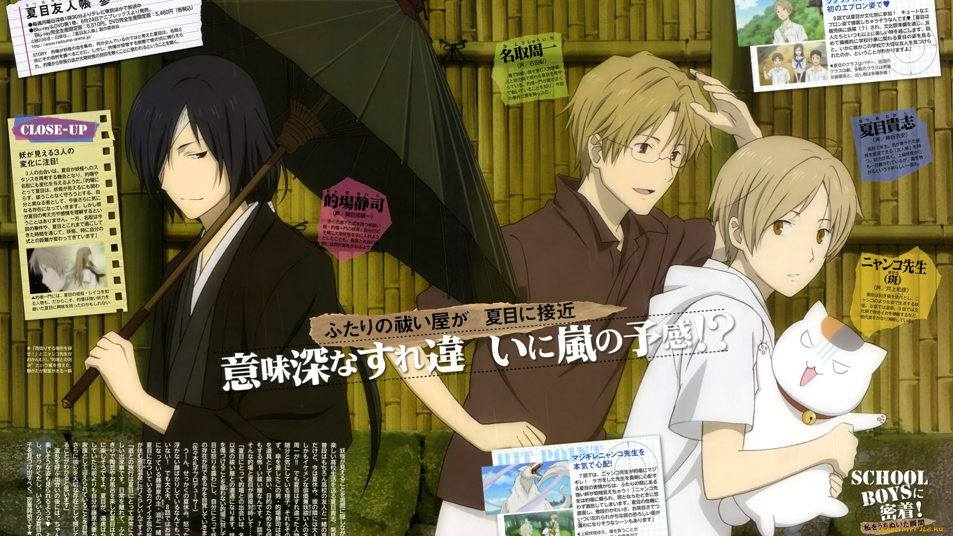 аниме, natsume, yuujinchou, тетрадь, дружбы, мяко, сенсей, нацуме