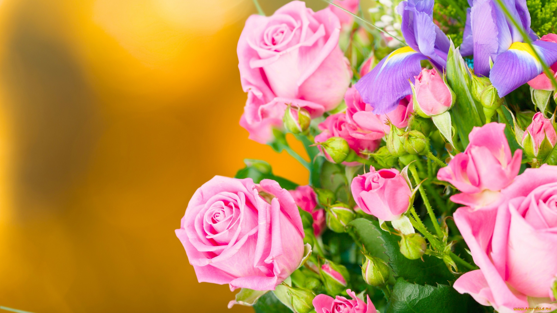 цветы, букеты, , композиции, букет, ирисы, бутоны, фон, розы