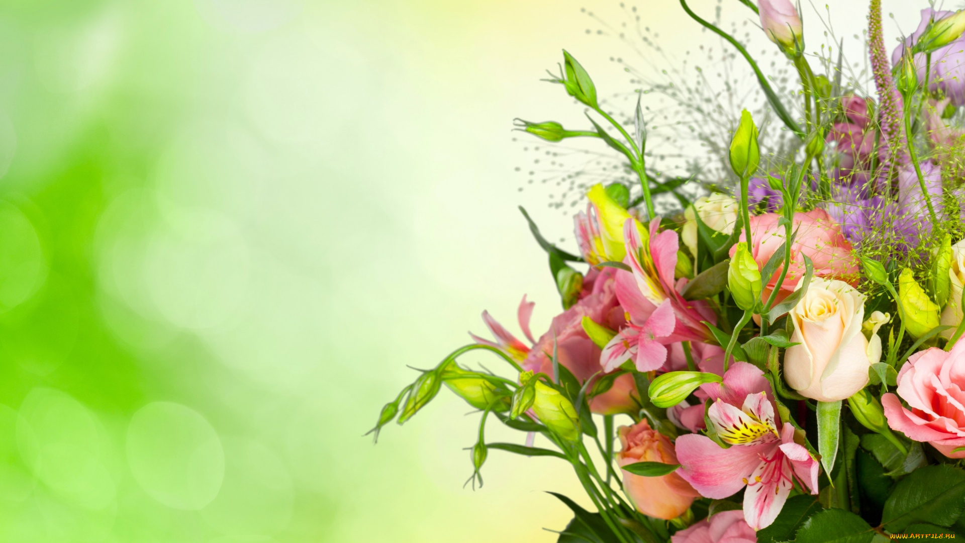 цветы, букеты, , композиции, фон, букет, бутоны, эустома, розы