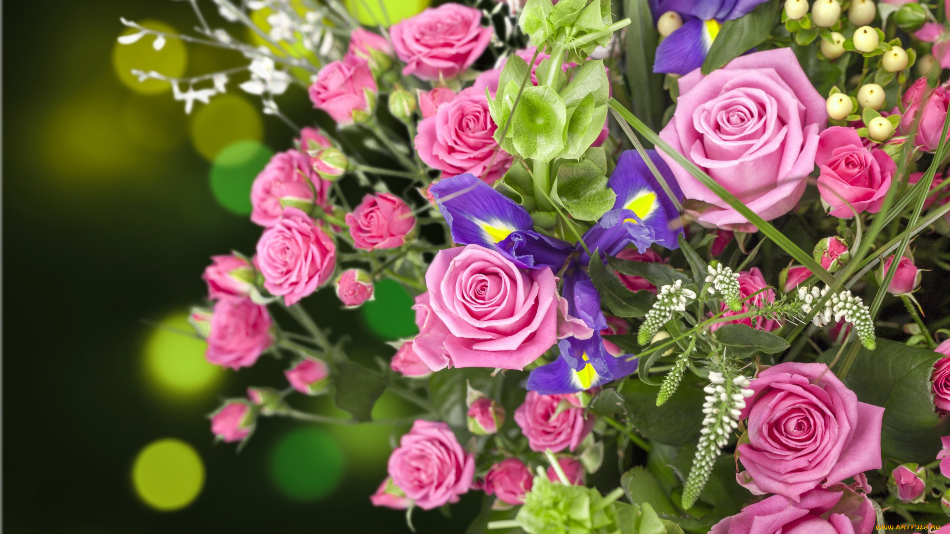 цветы, букеты, , композиции, фон, розы, бутоны, букет, ирисы