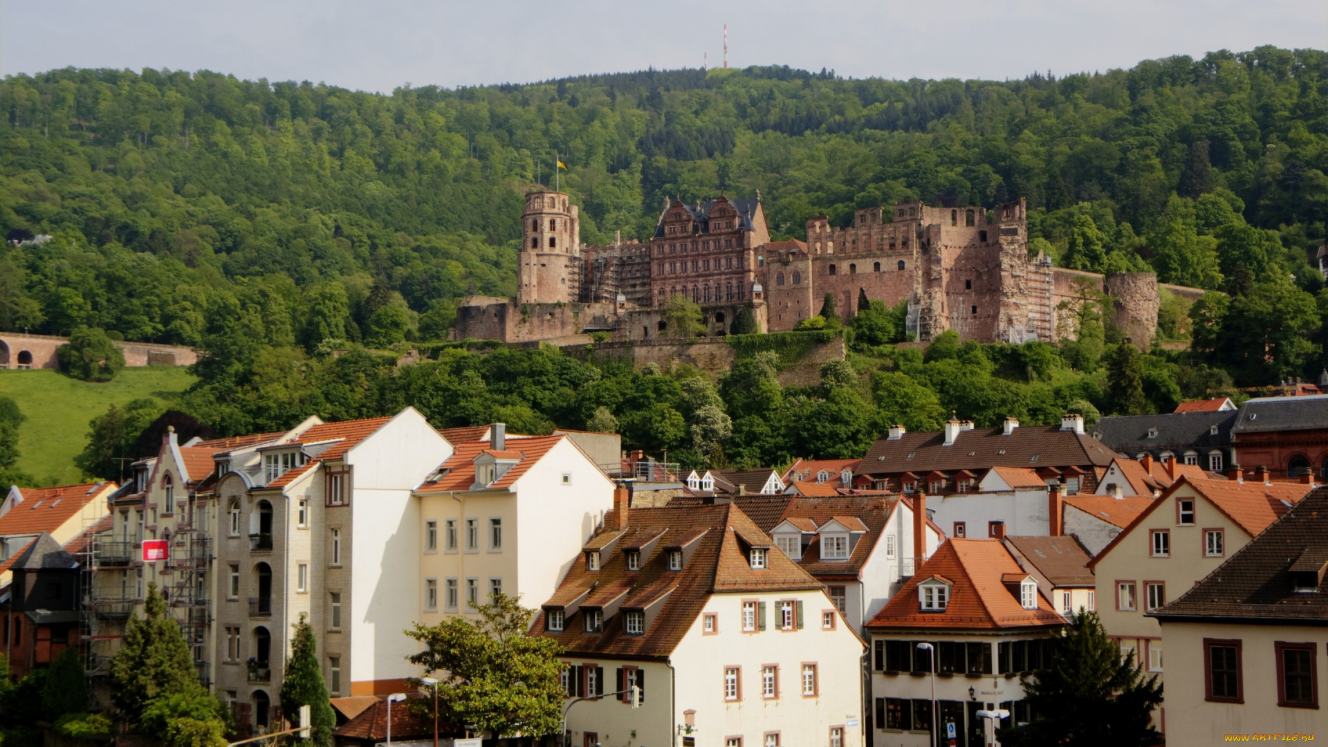 города, замки, германии, замок, дома, здания, гейдельбергский, германия