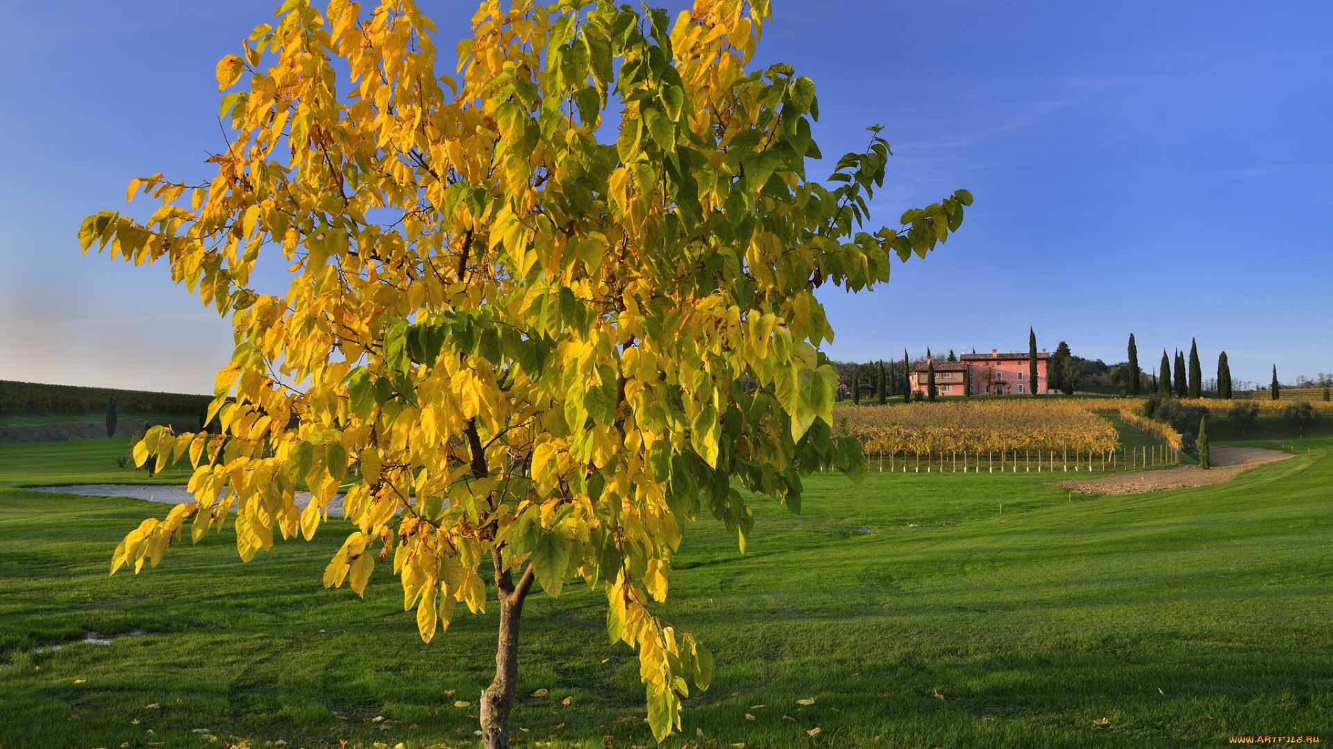 природа, деревья, италия, осень, холм, поле, небо, листья, тоскана, дерево, дома, трава
