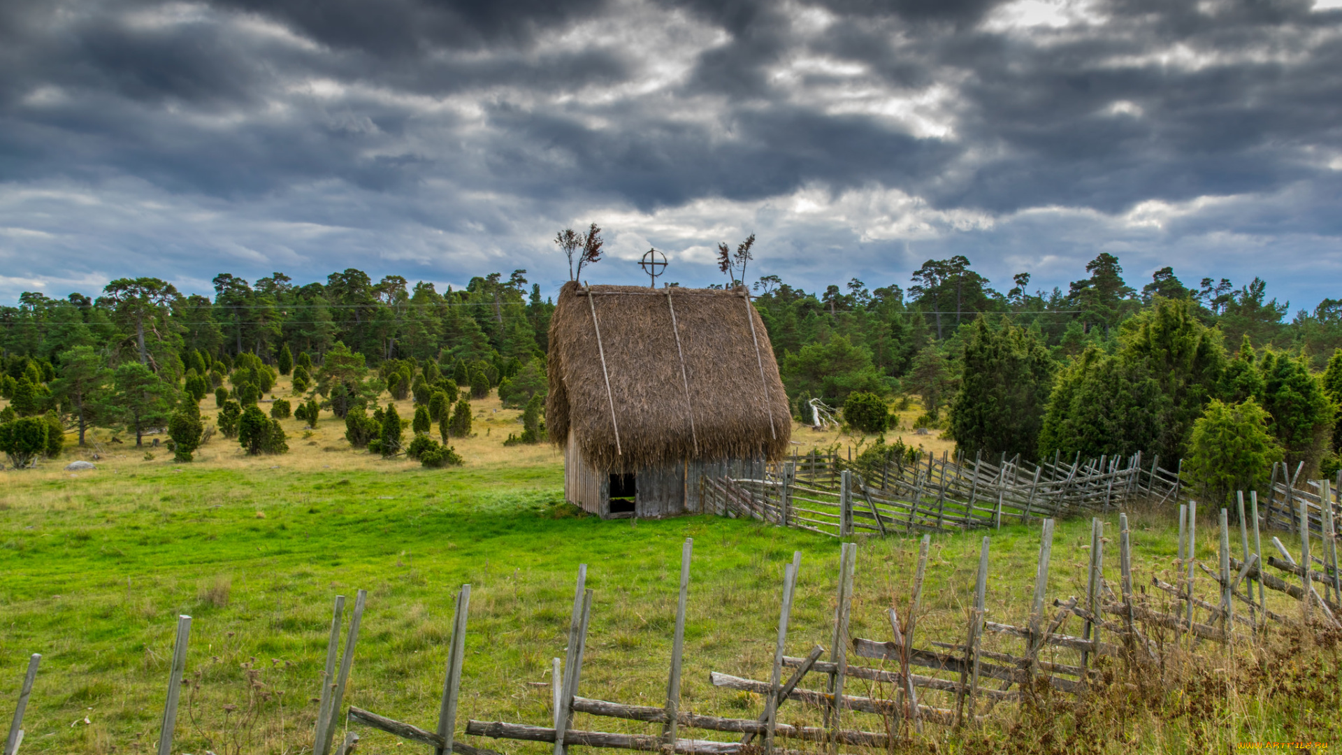 природа, пейзажи, лес, поле