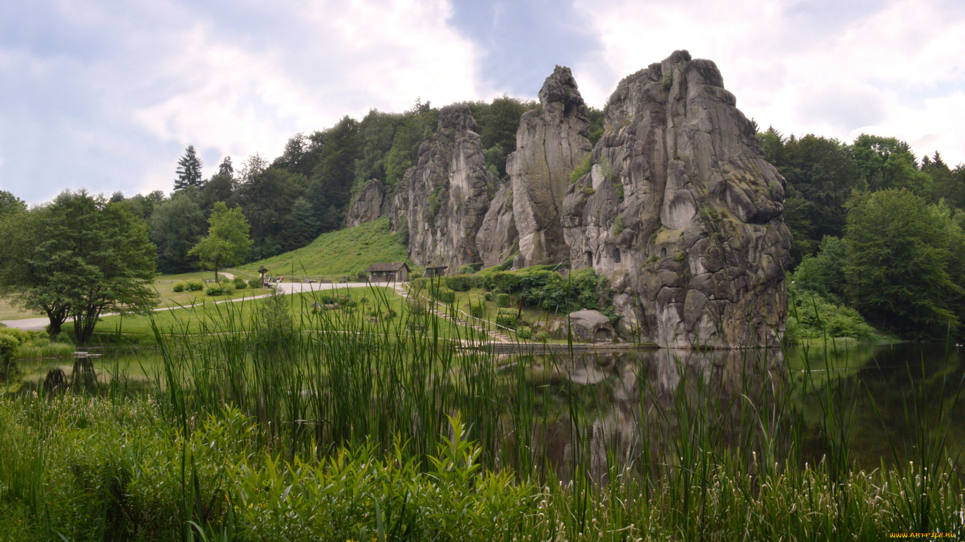 природа, реки, озера, лес, река