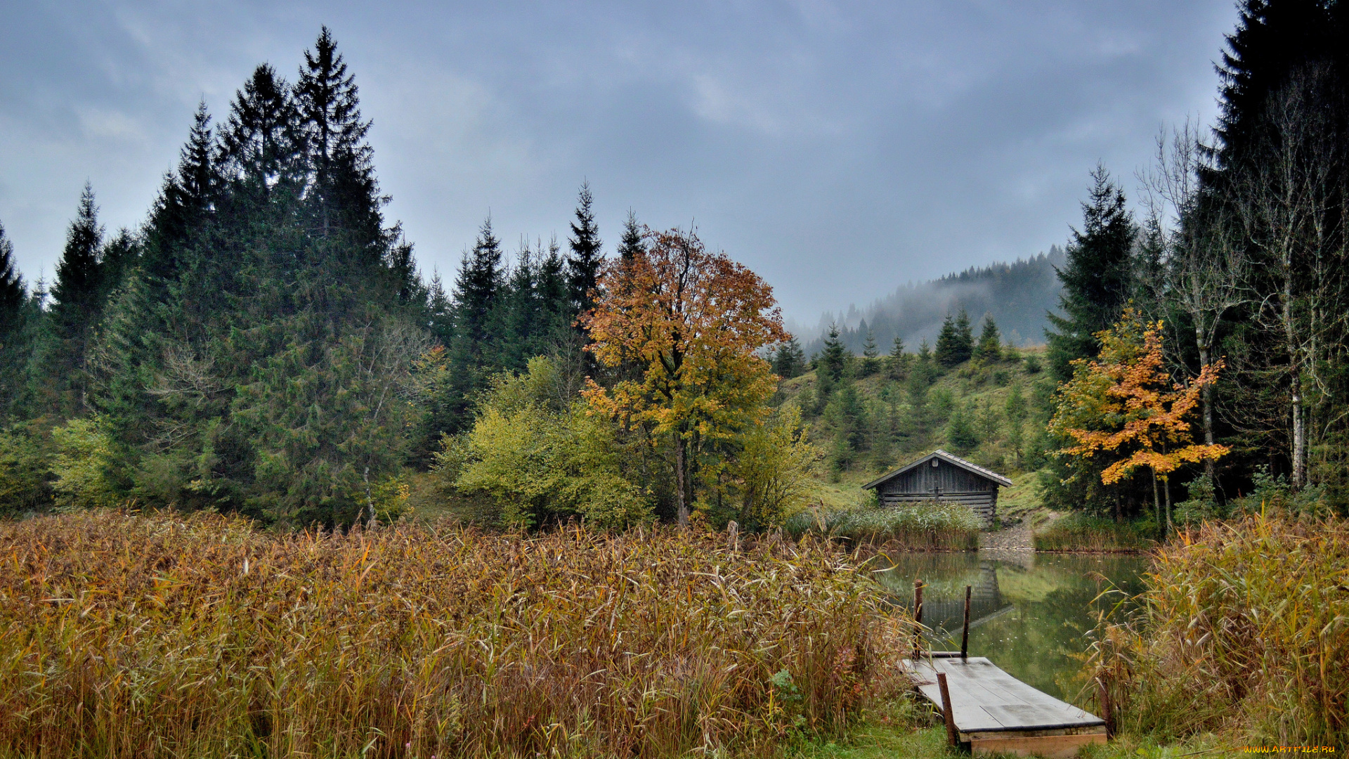 природа, реки, озера, река, лес