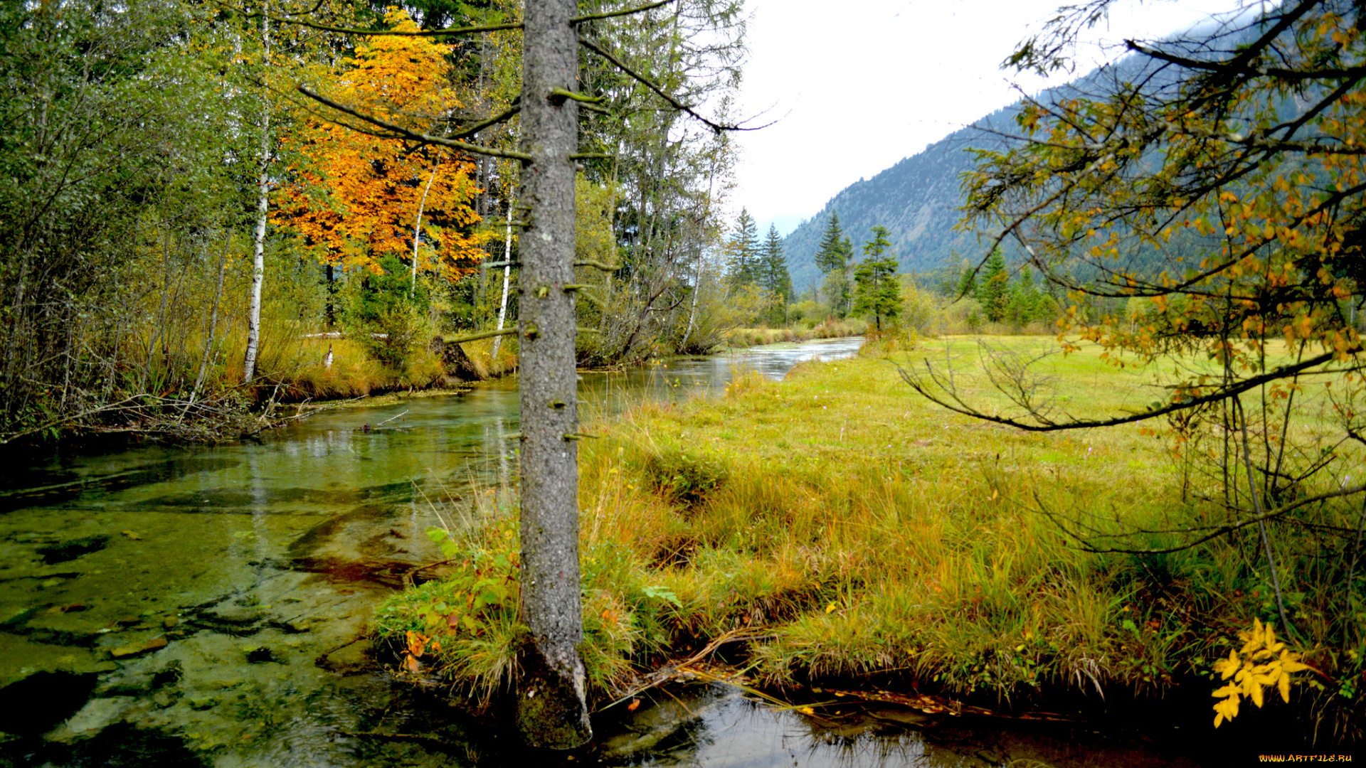 природа, реки, озера, река, лес