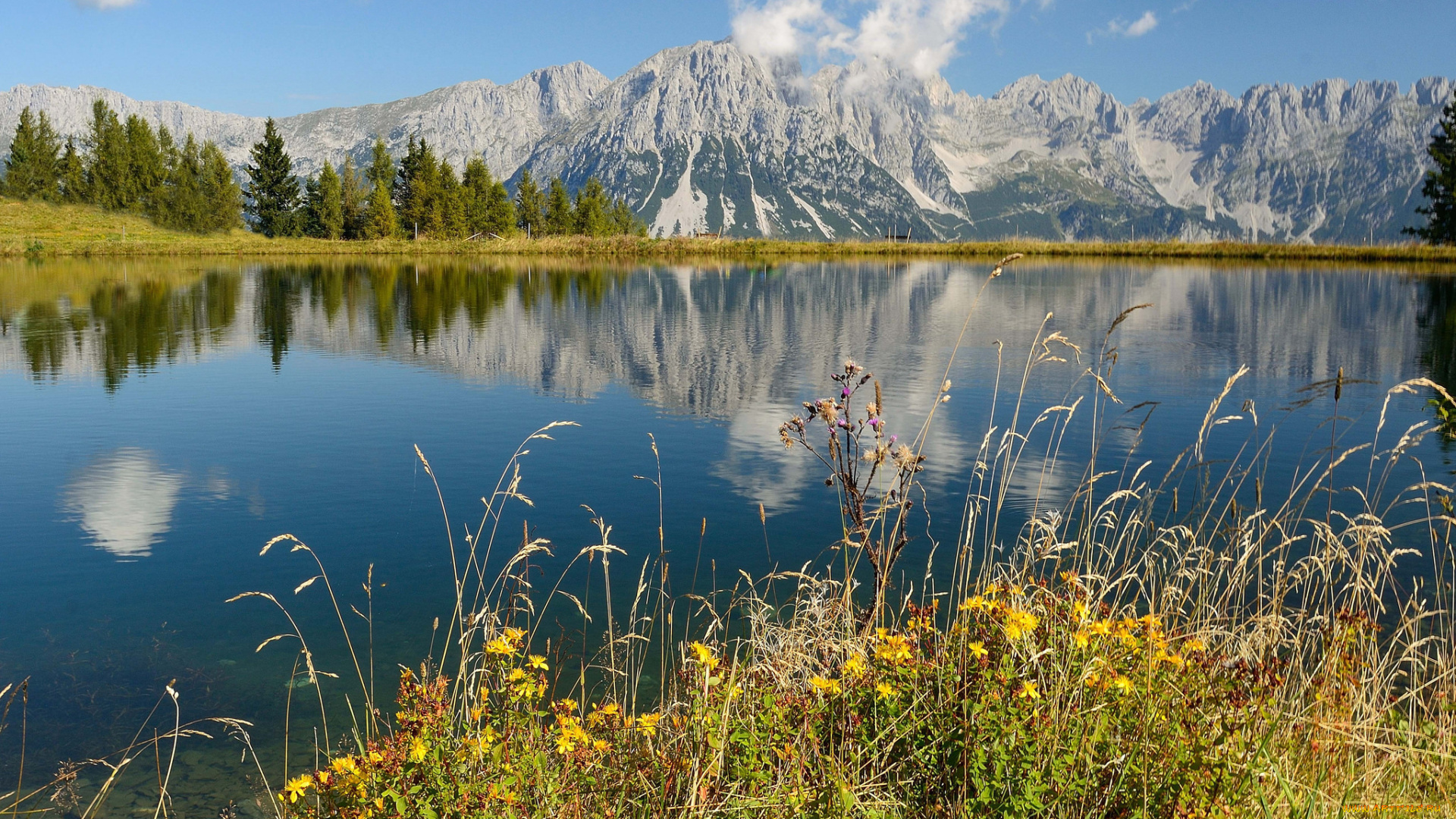 природа, реки, озера, река, лес