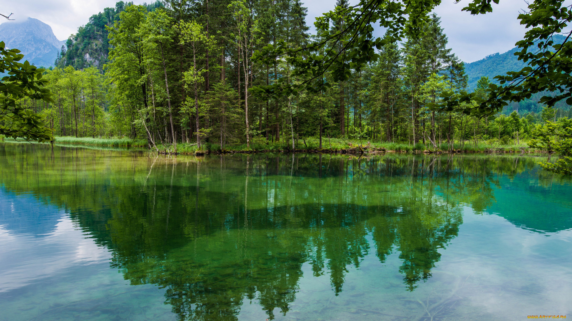 природа, реки, озера, река, лес