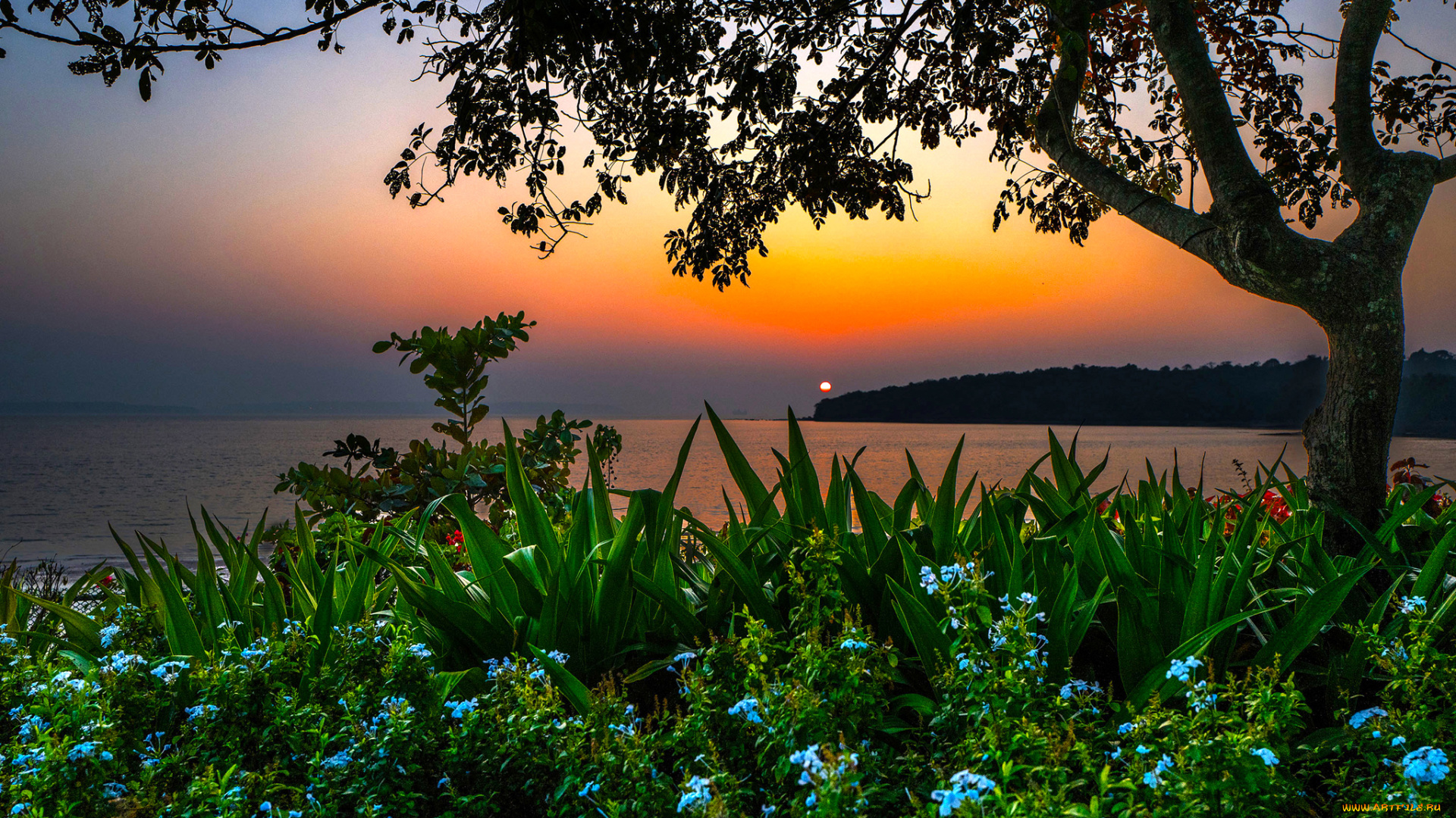 природа, восходы, закаты, индия, закат