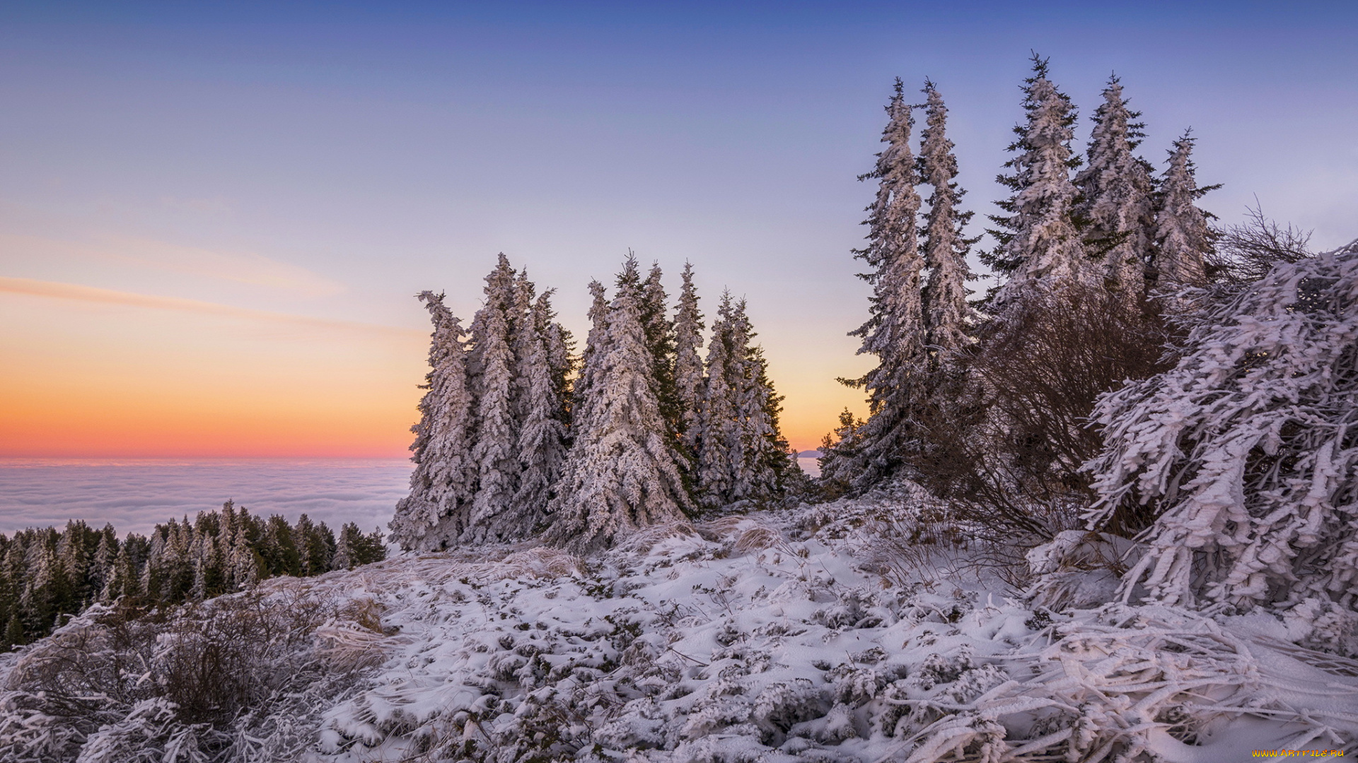 природа, зима, горы, облака, снег, ели, вершина, рассвет, утро