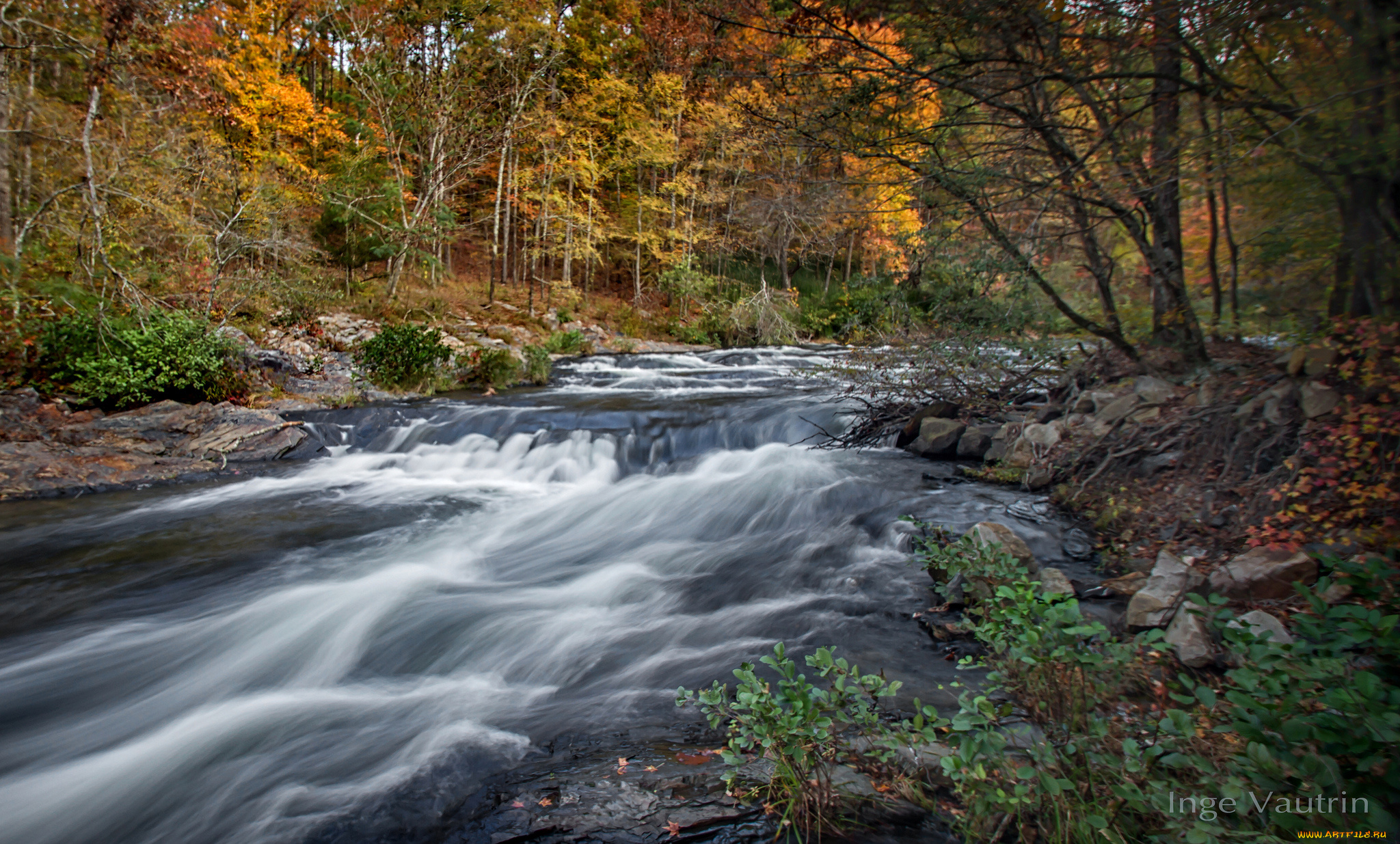 природа, реки, озера, река, лес