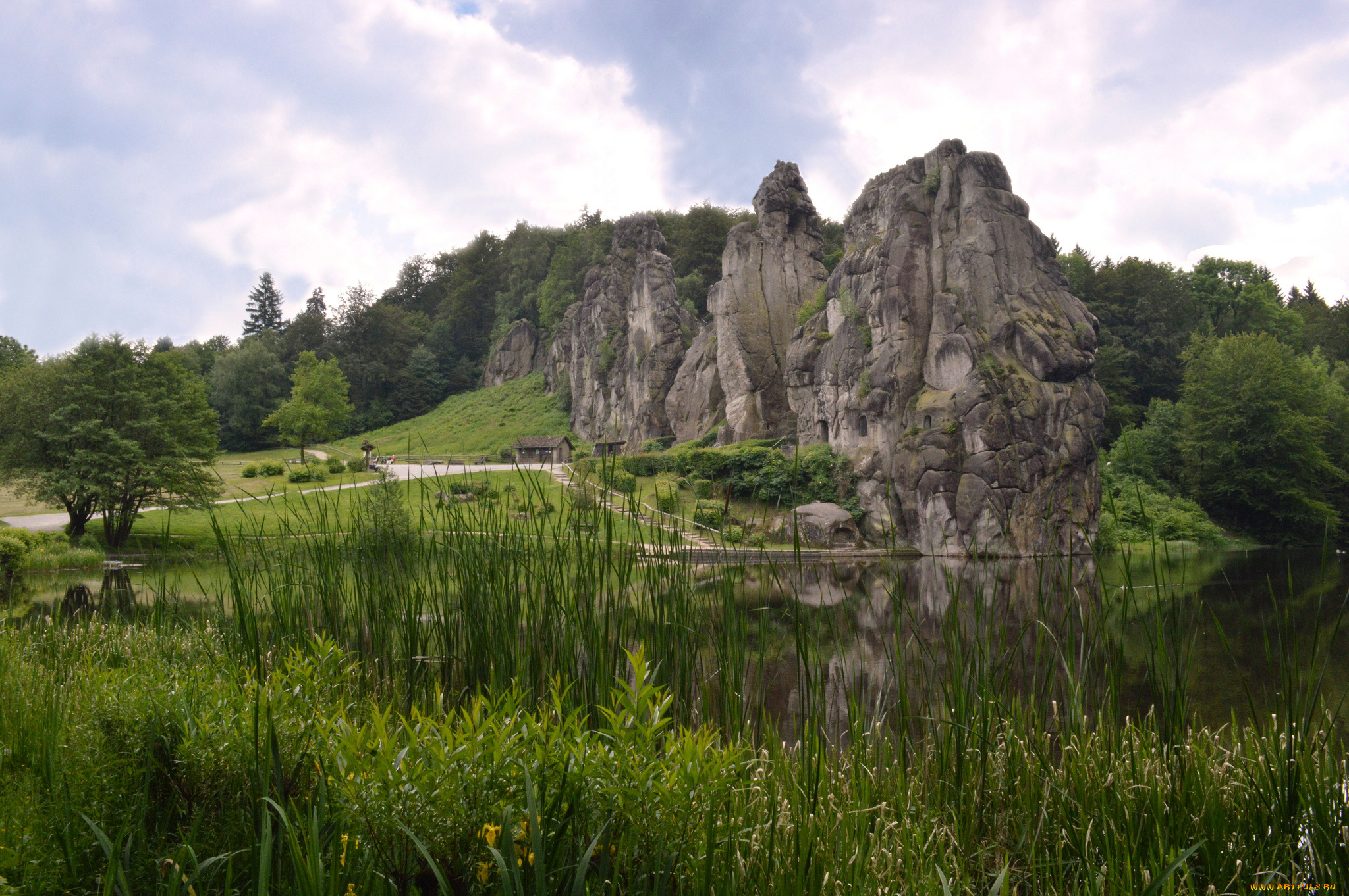 природа, реки, озера, лес, река