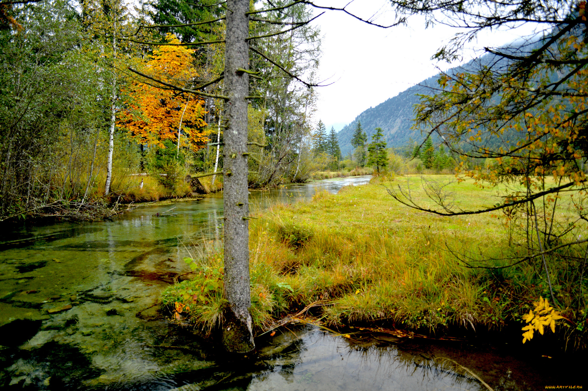 природа, реки, озера, река, лес