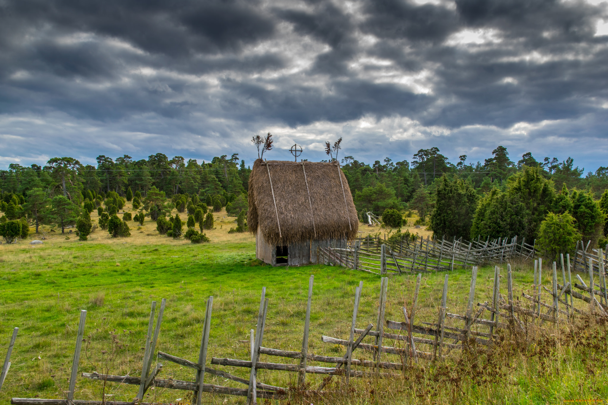 природа, пейзажи, лес, поле