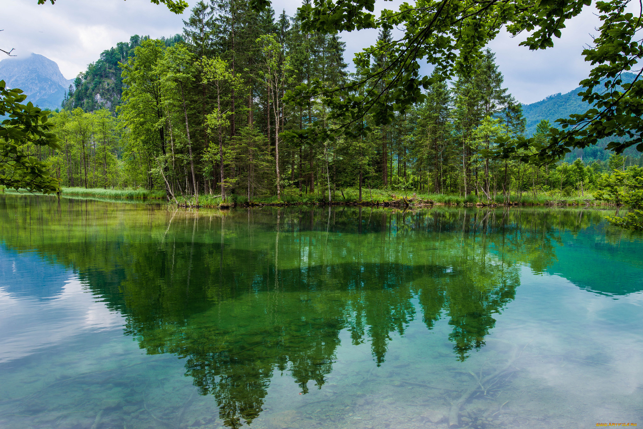 природа, реки, озера, река, лес