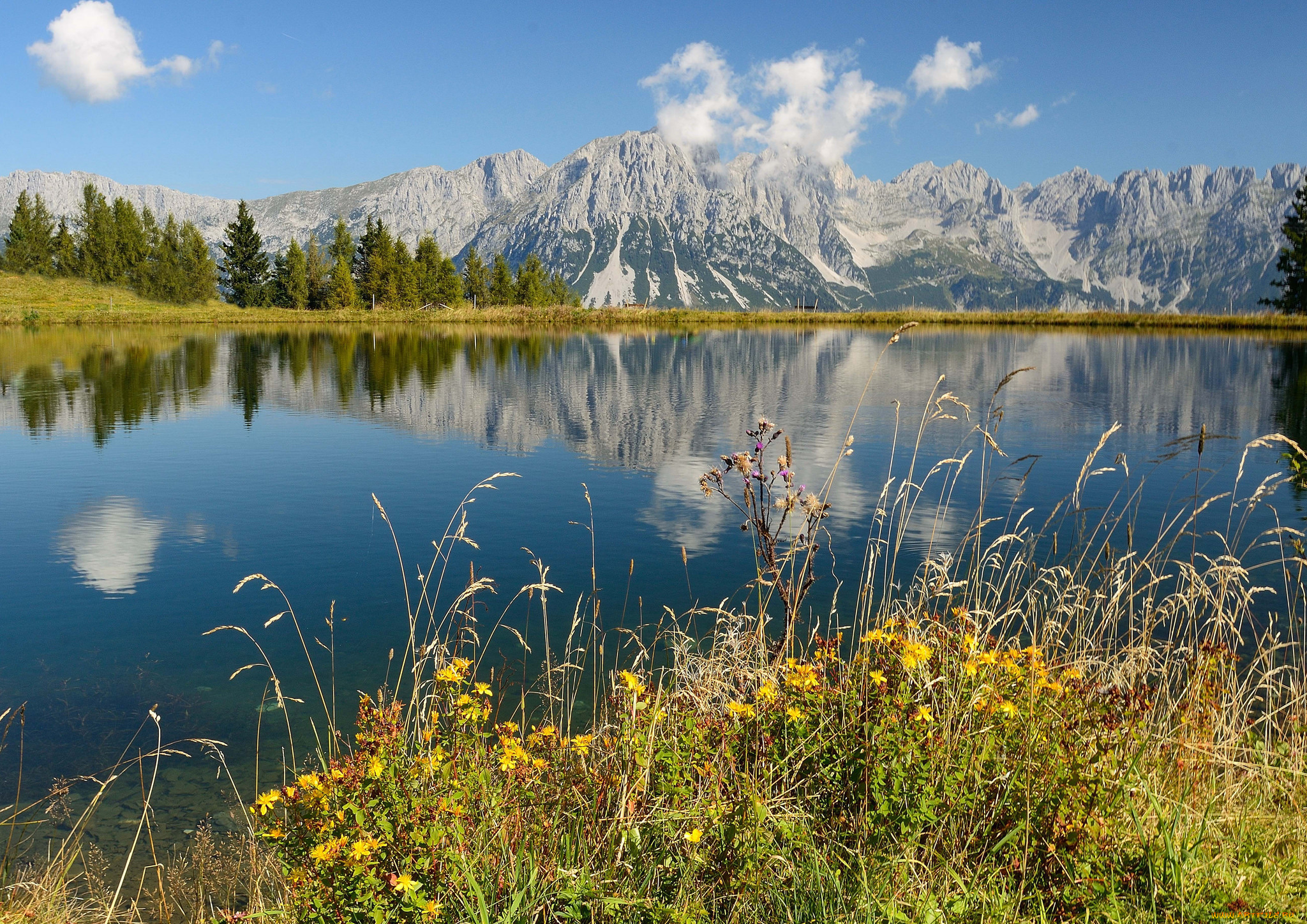 природа, реки, озера, река, лес