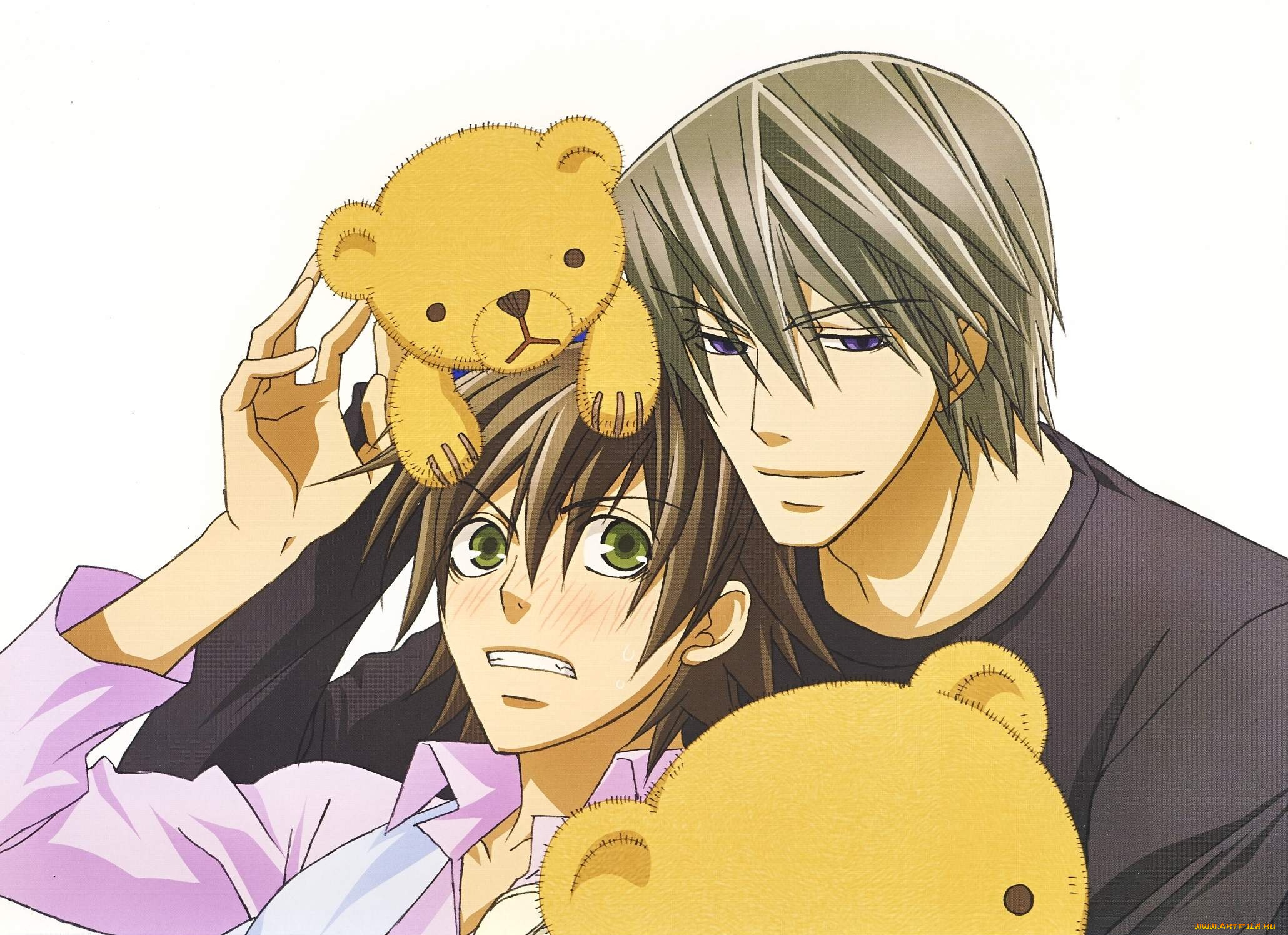 аниме, junjou, romantica, акихико, мисаки