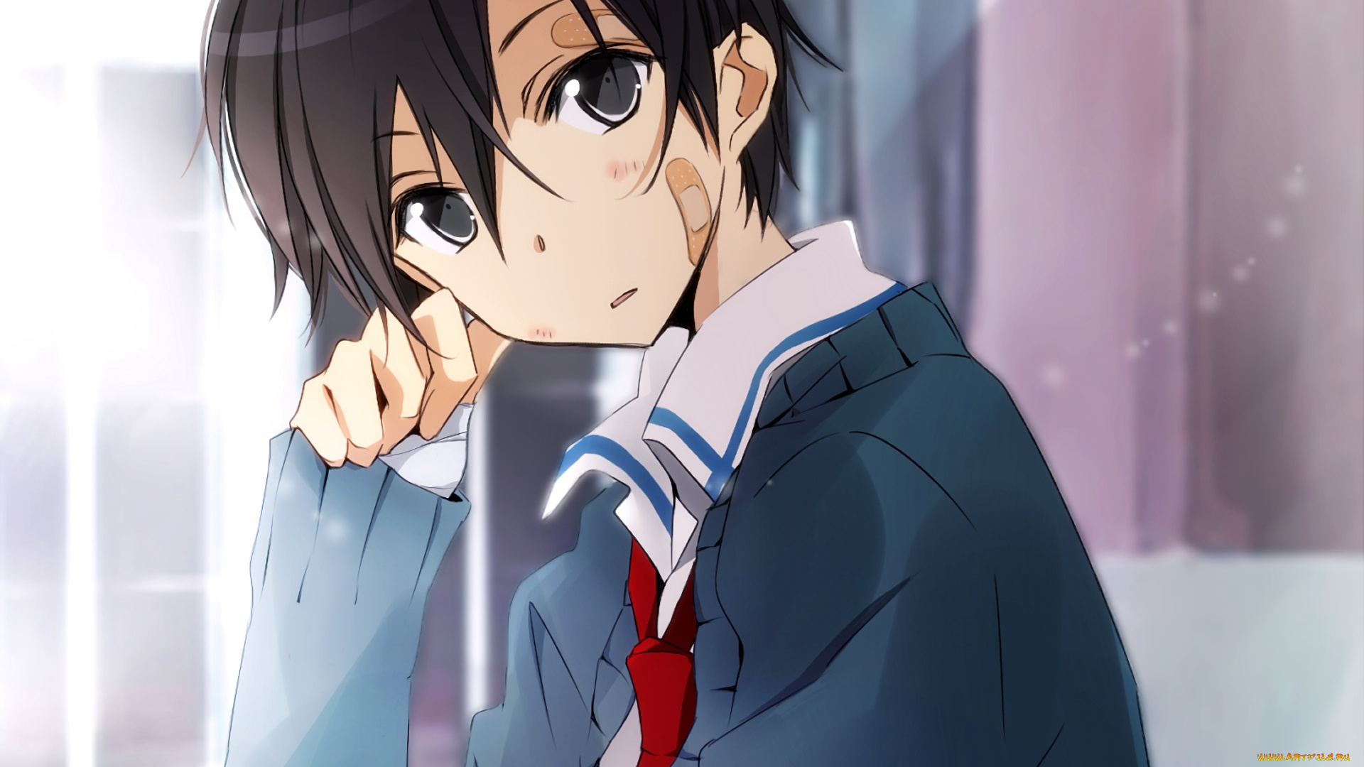 аниме, sword, art, online, фон, взгляд, парень, дракон