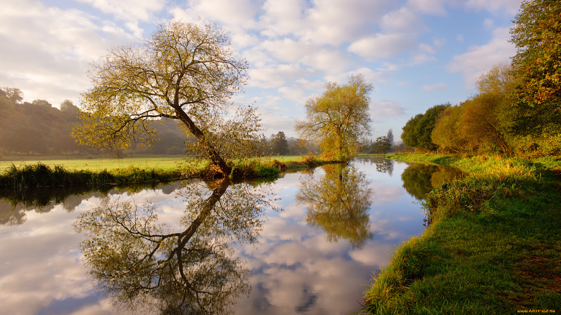 природа, реки, озера, лес, река