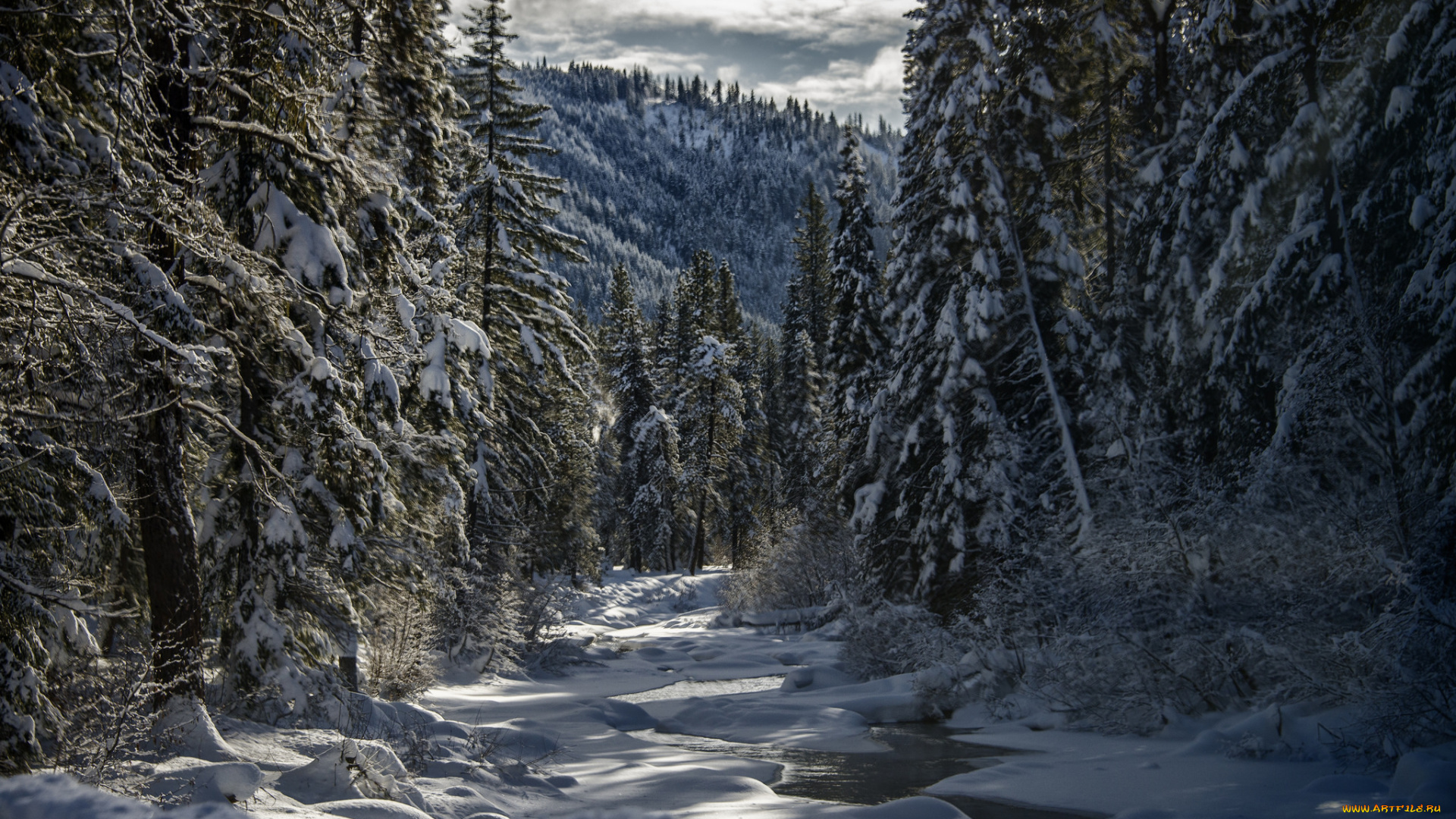 природа, зима, снег