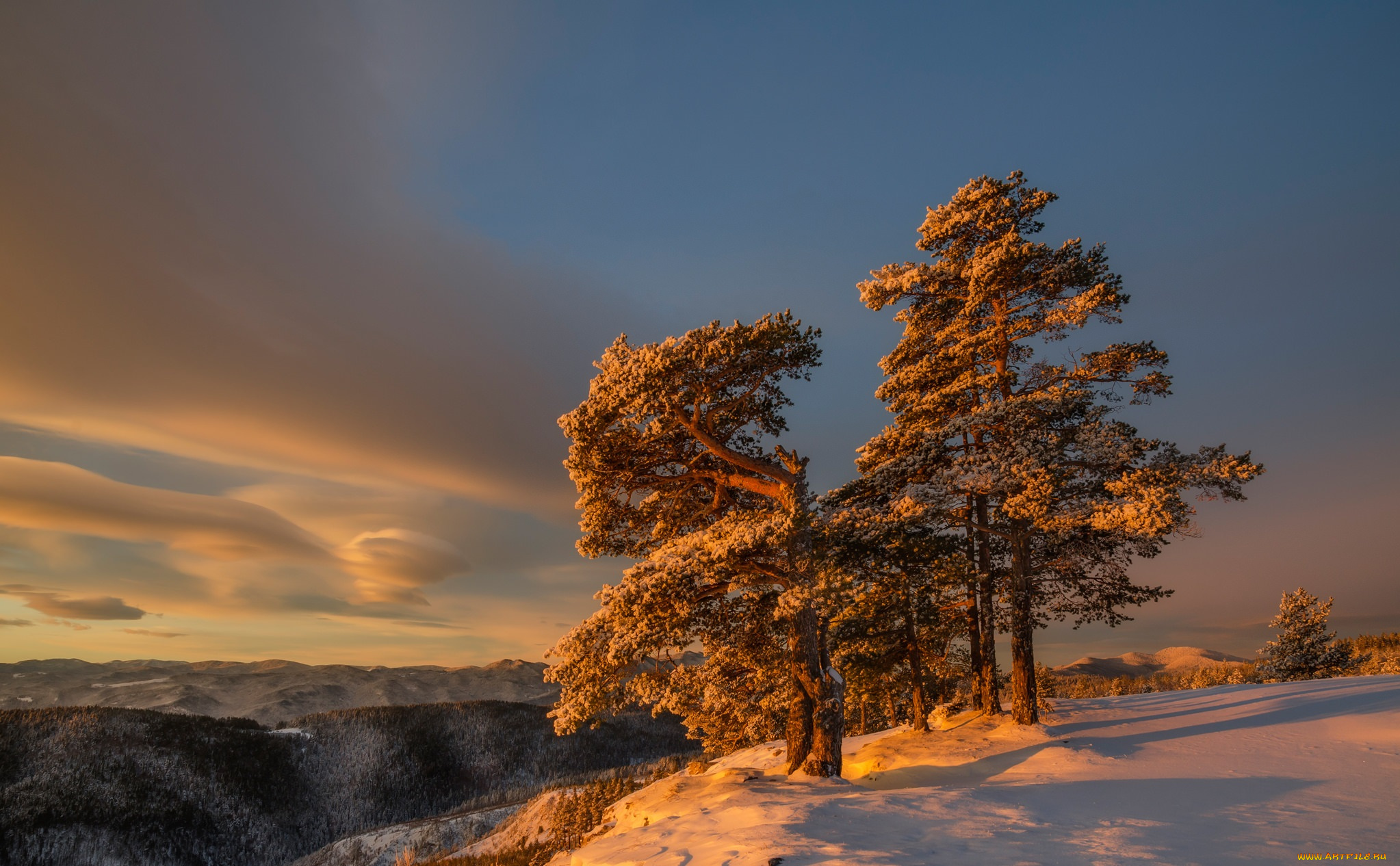 природа, зима, снег