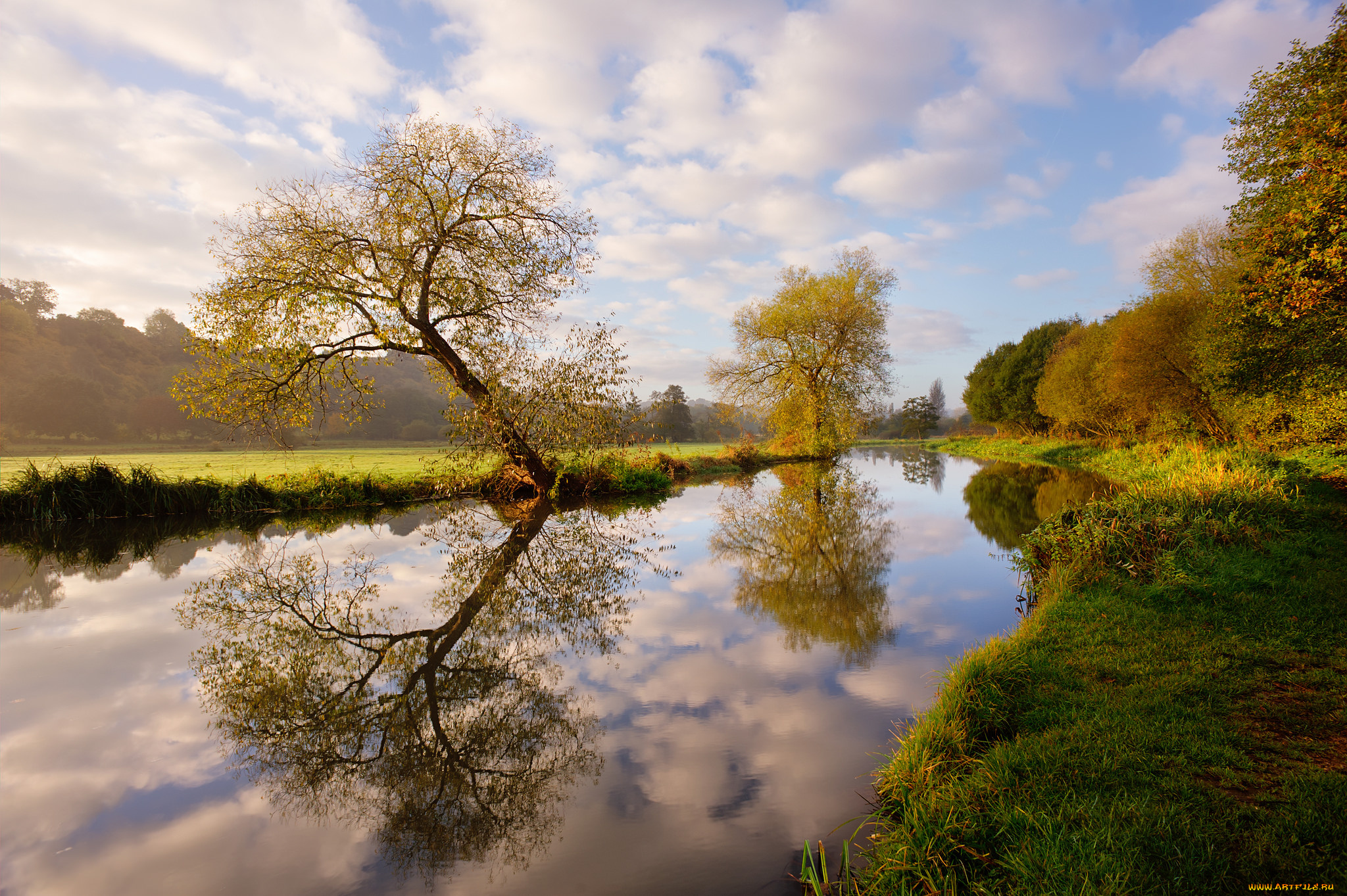 природа, реки, озера, лес, река