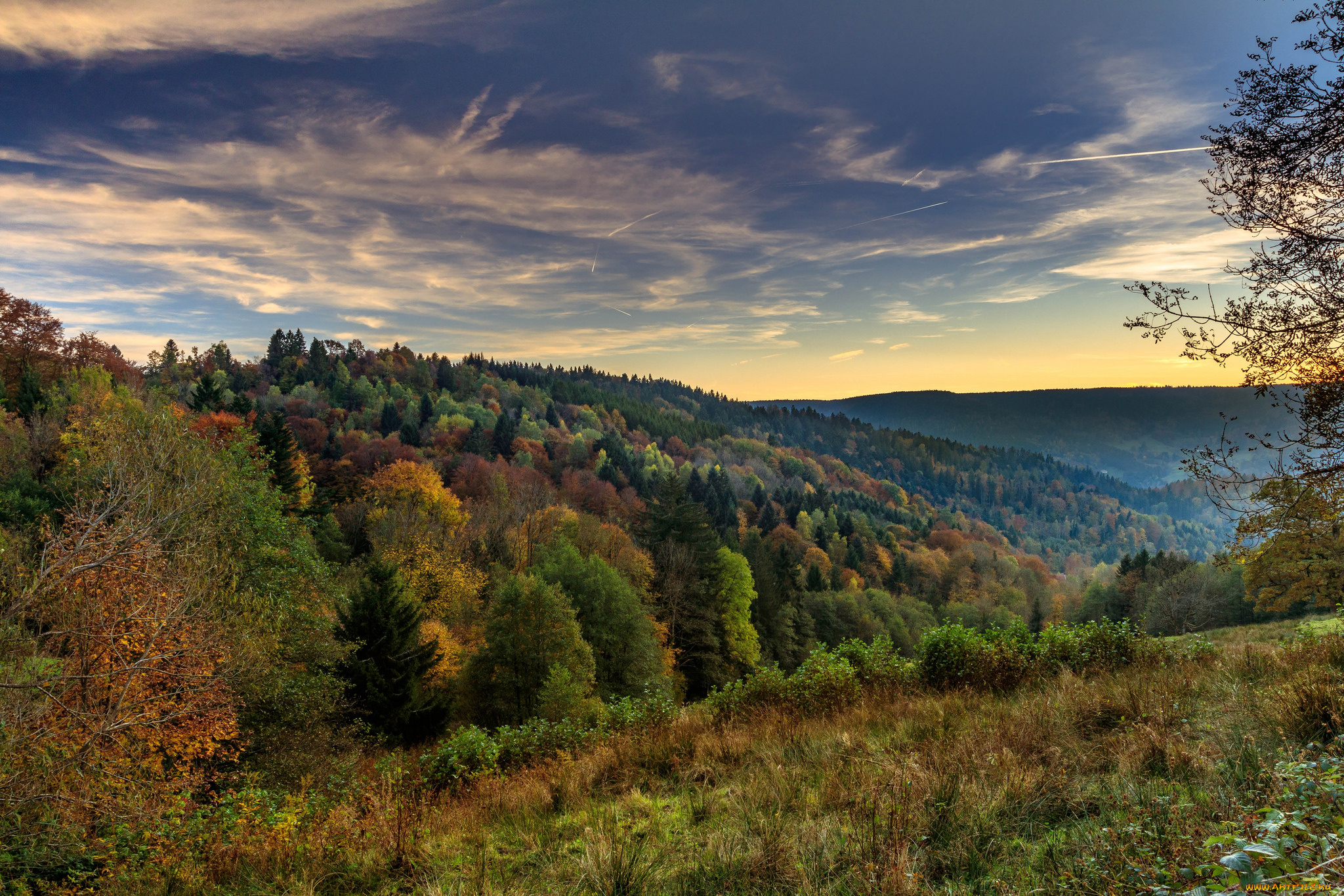 природа, пейзажи, простор