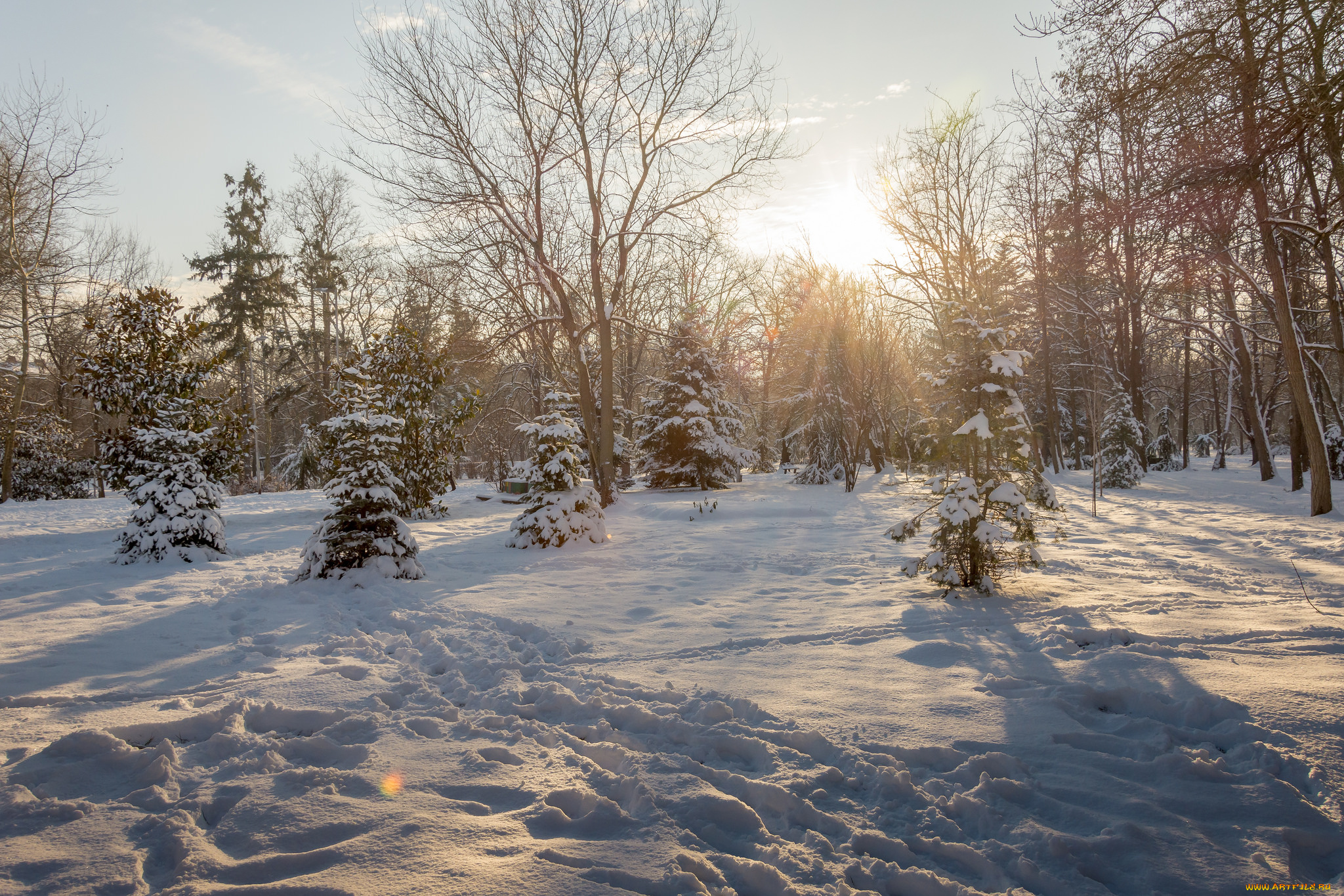 природа, зима, снег