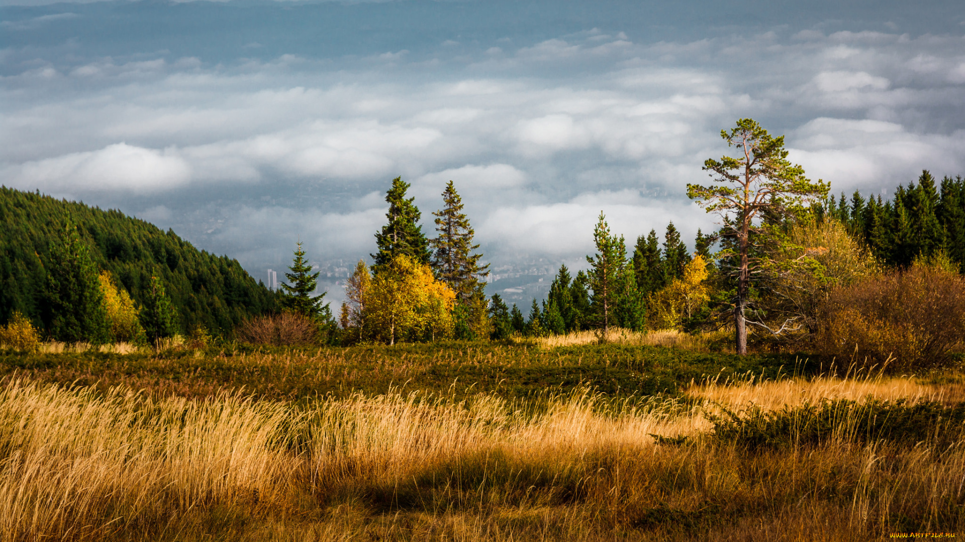 природа, пейзажи, простор