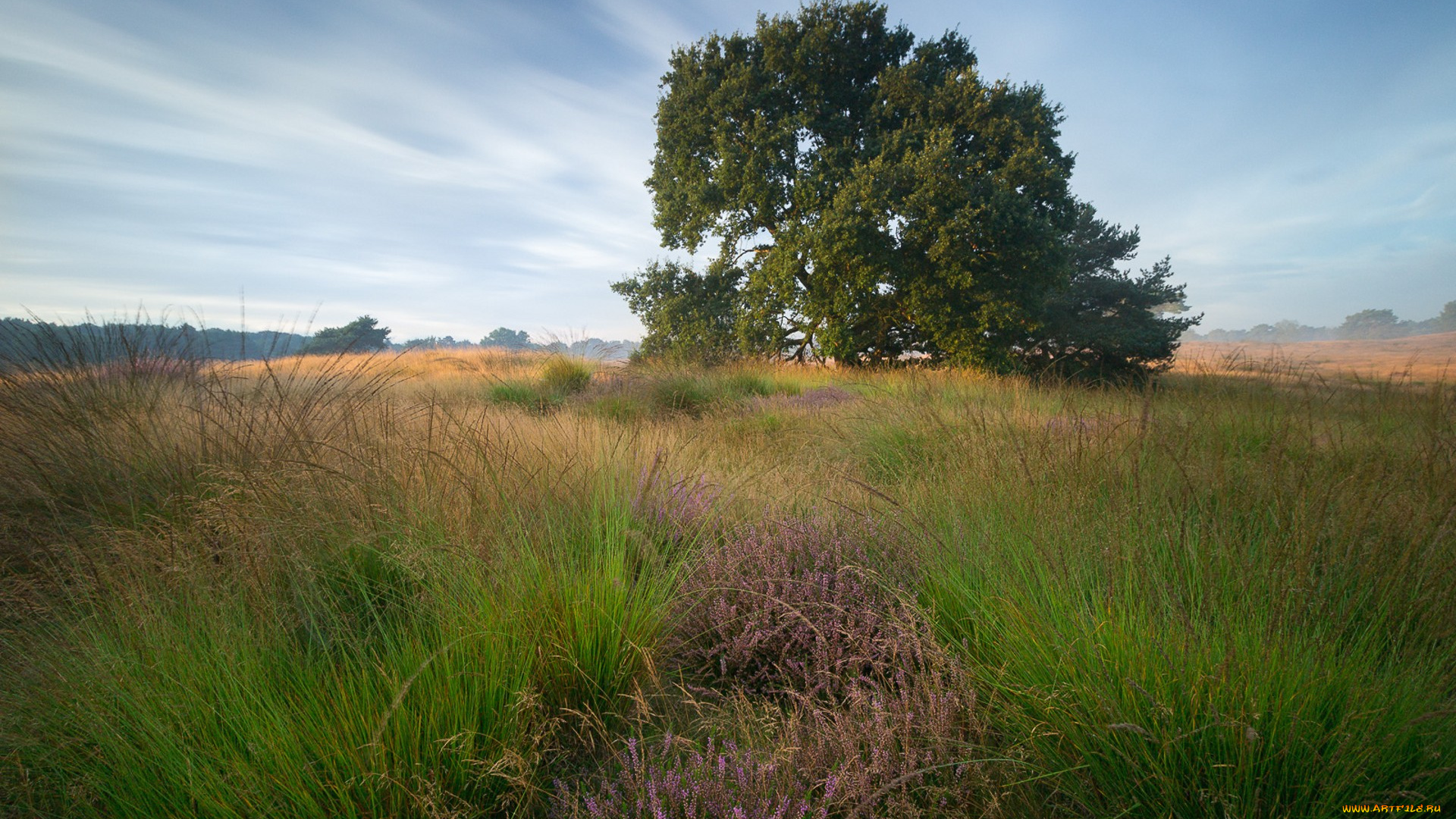 природа, пейзажи, простор