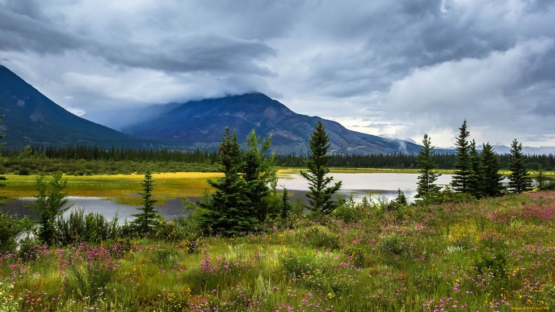 природа, реки, озера, простор