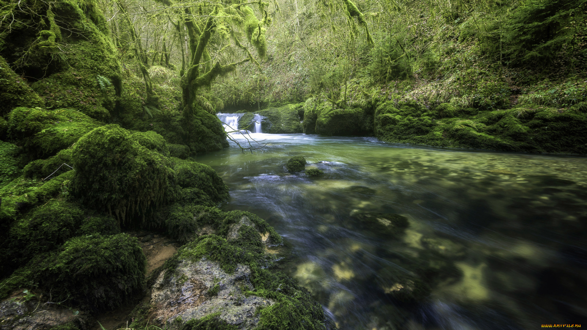 природа, реки, озера, простор