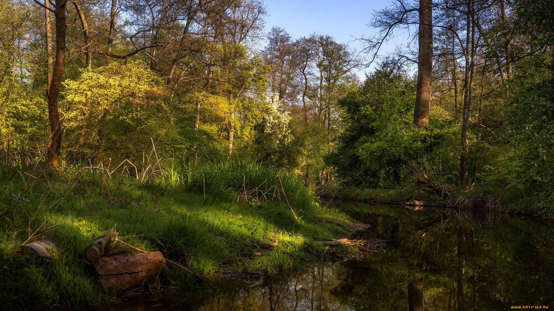 природа, реки, озера, простор