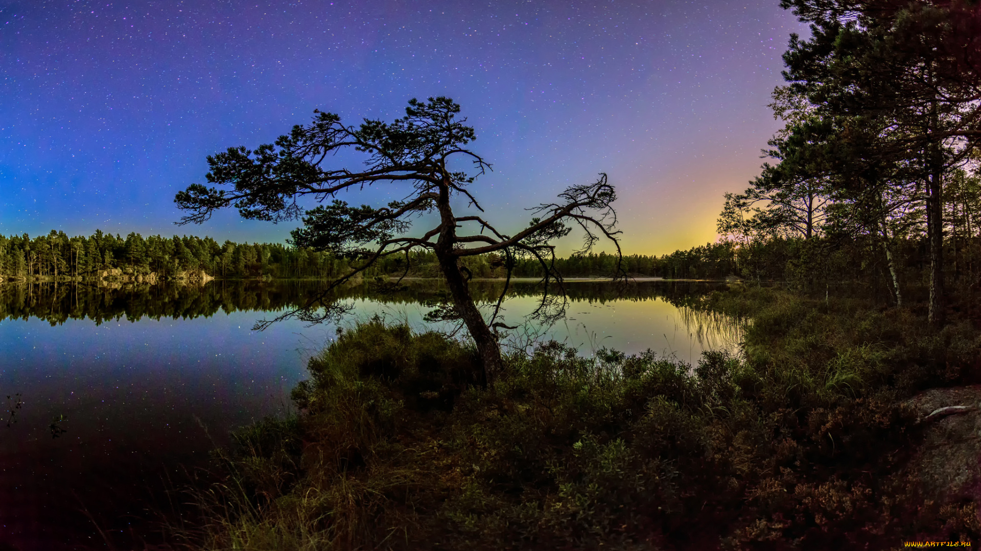 природа, реки, озера, простор