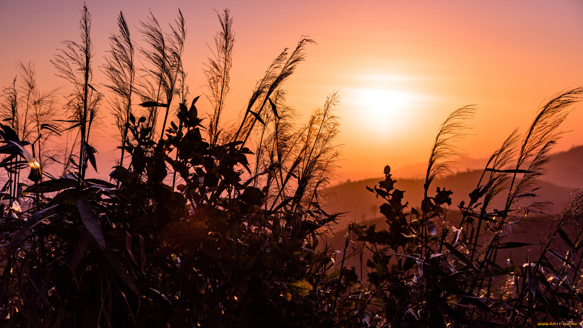 природа, восходы, закаты, простор