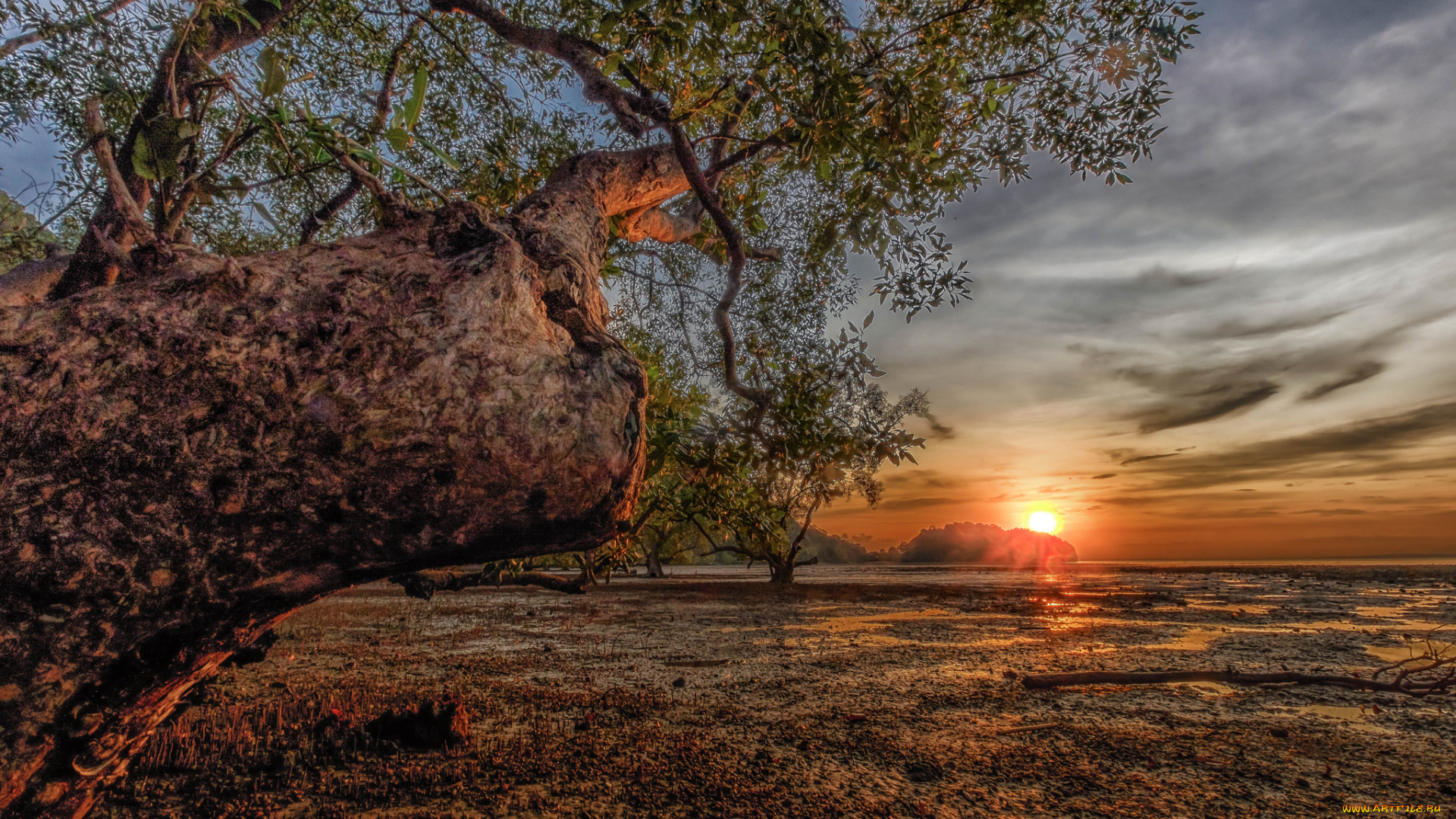 природа, восходы, закаты, простор