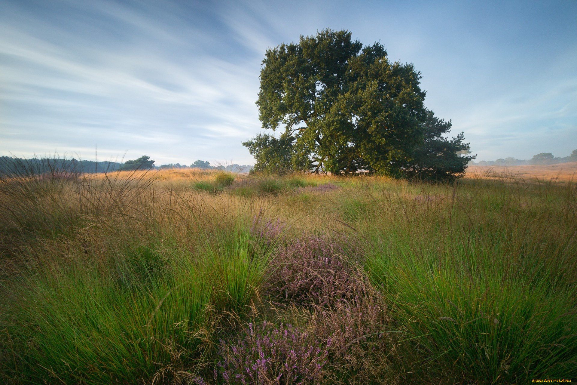природа, пейзажи, простор