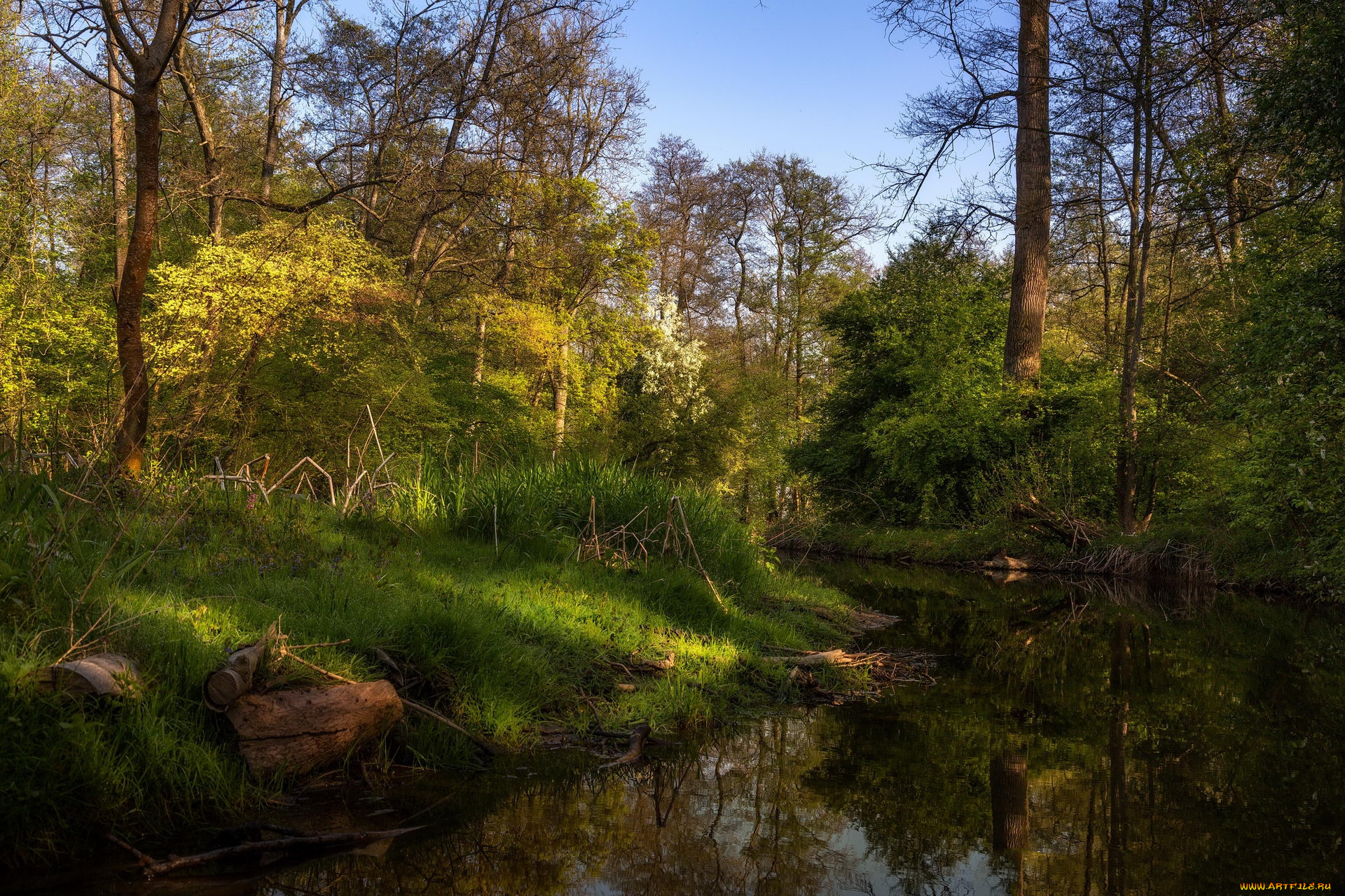 природа, реки, озера, простор