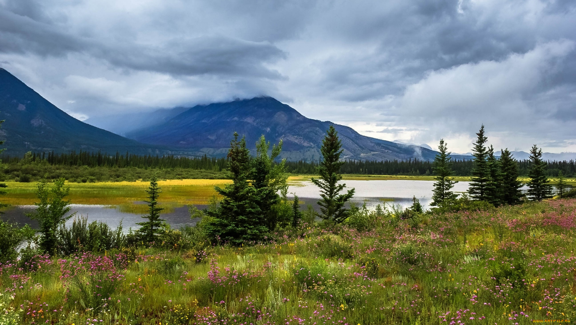 природа, реки, озера, простор