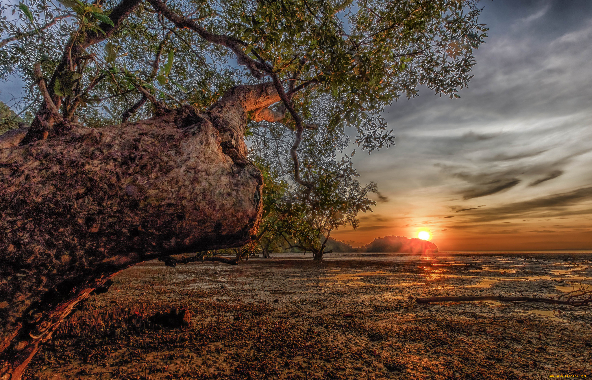 природа, восходы, закаты, простор