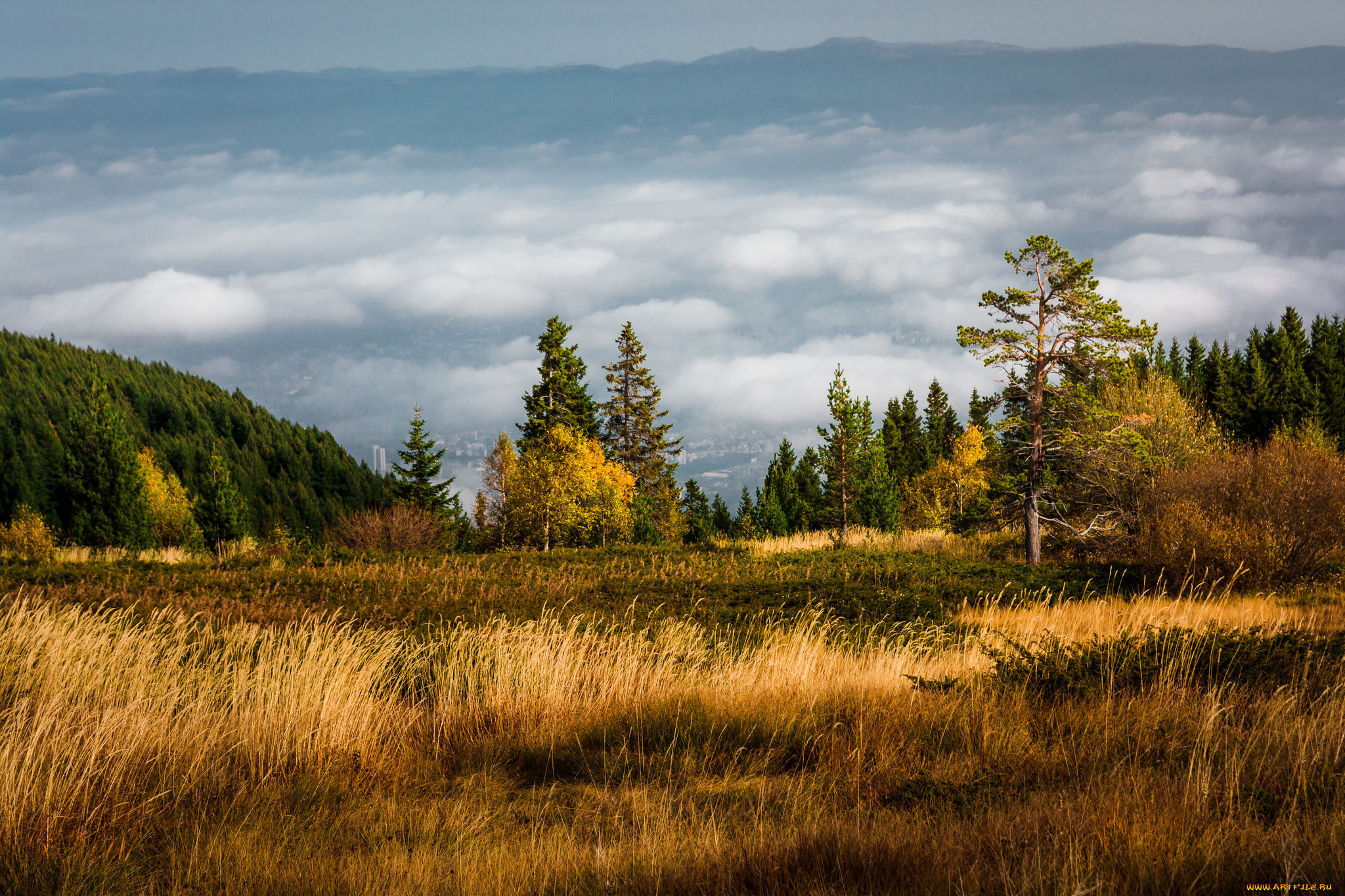 природа, пейзажи, простор