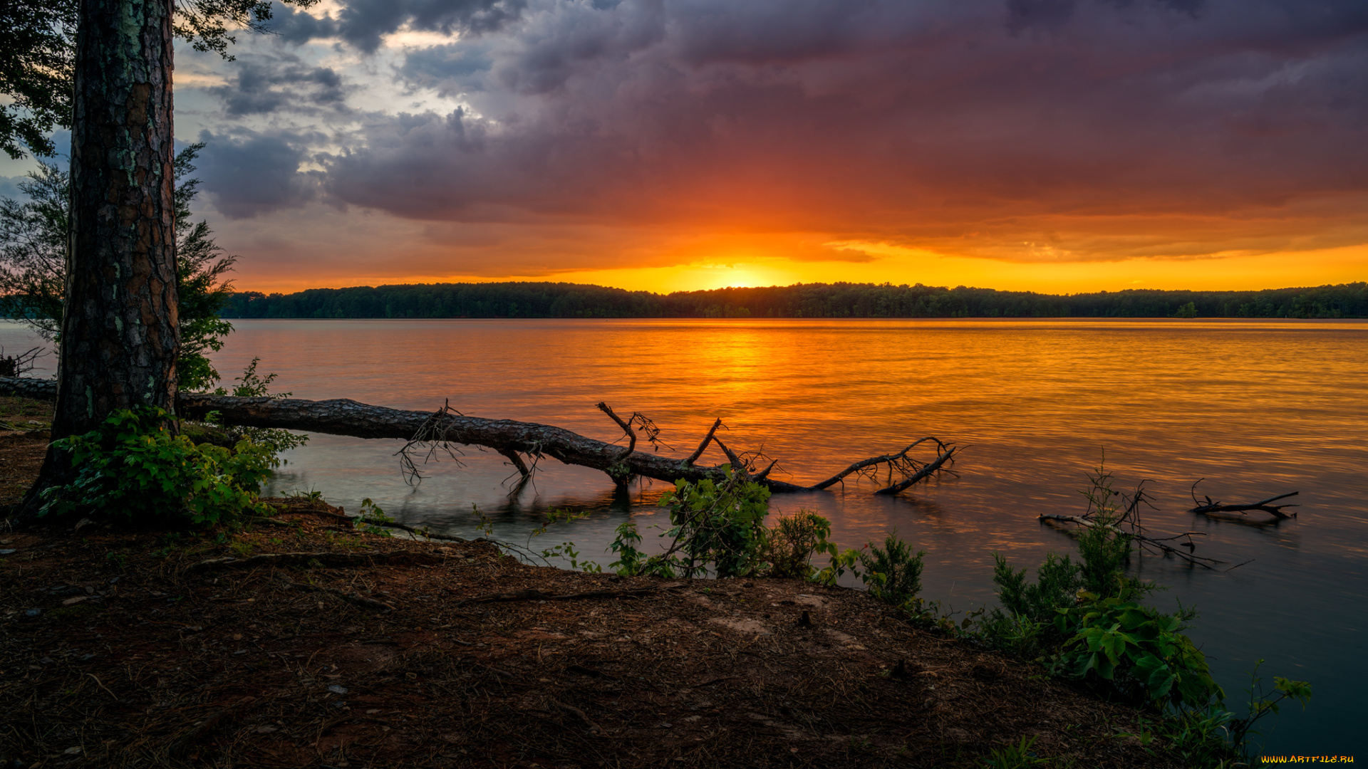 природа, восходы, закаты, простор