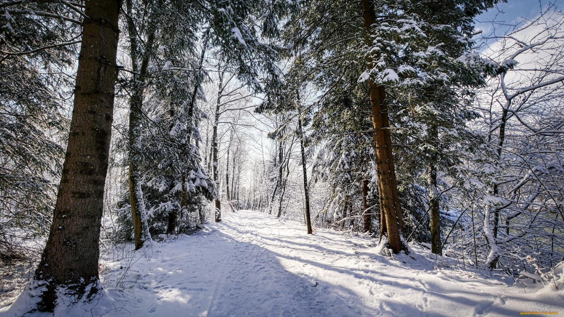 природа, зима, снег, сугробы